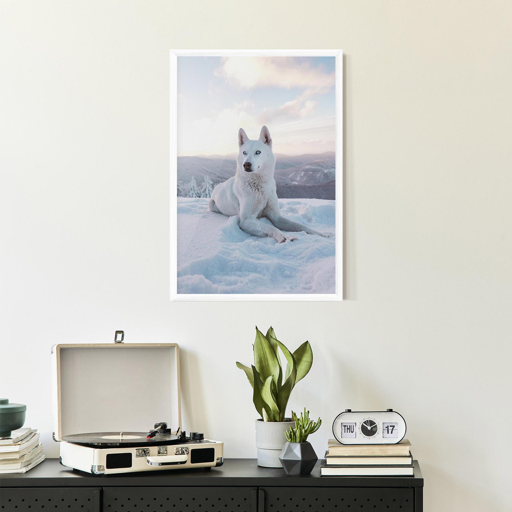 Plakat w Ramie White Snow Wolf mockup 2