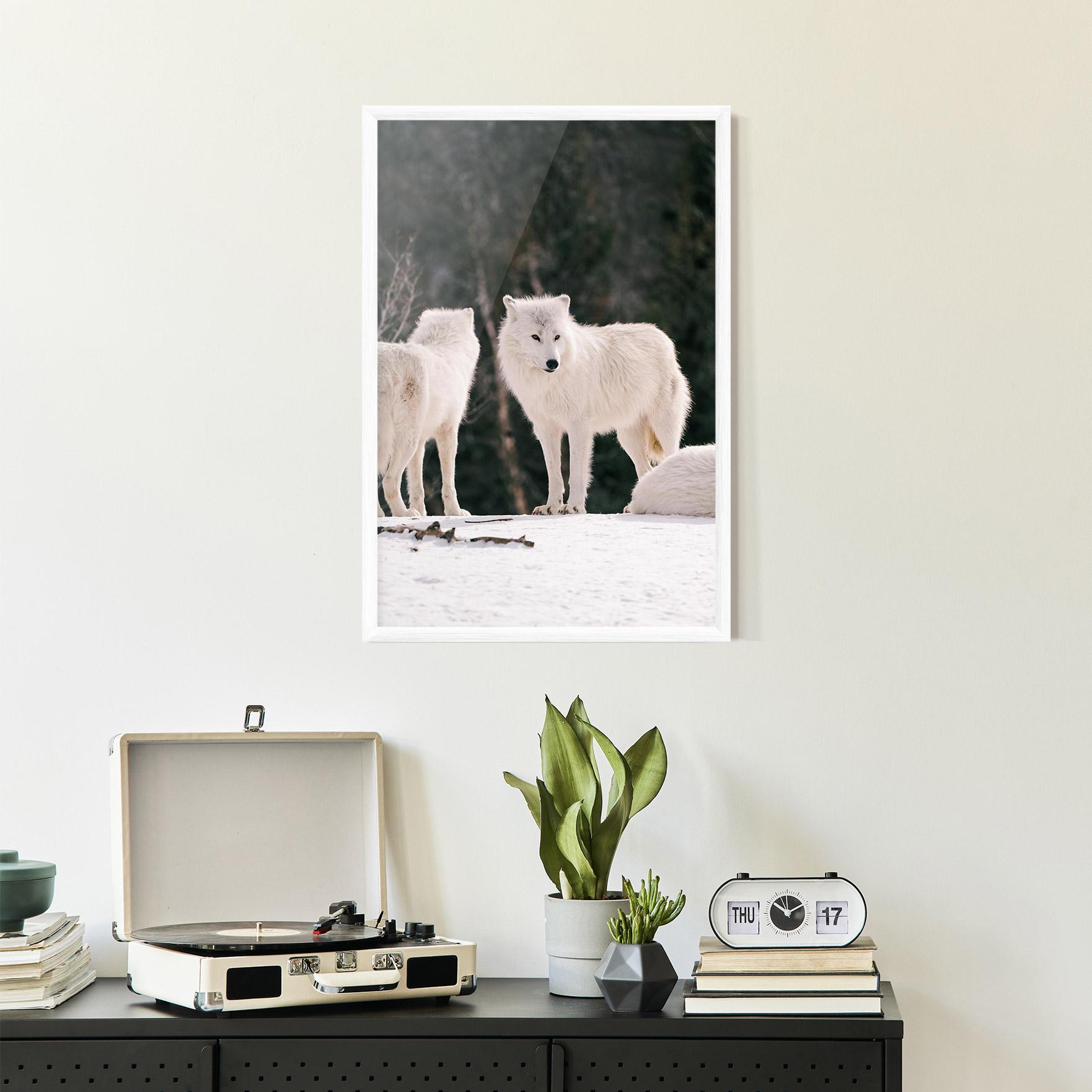 Plakat w Ramie White Wolf Waiting mockup 2