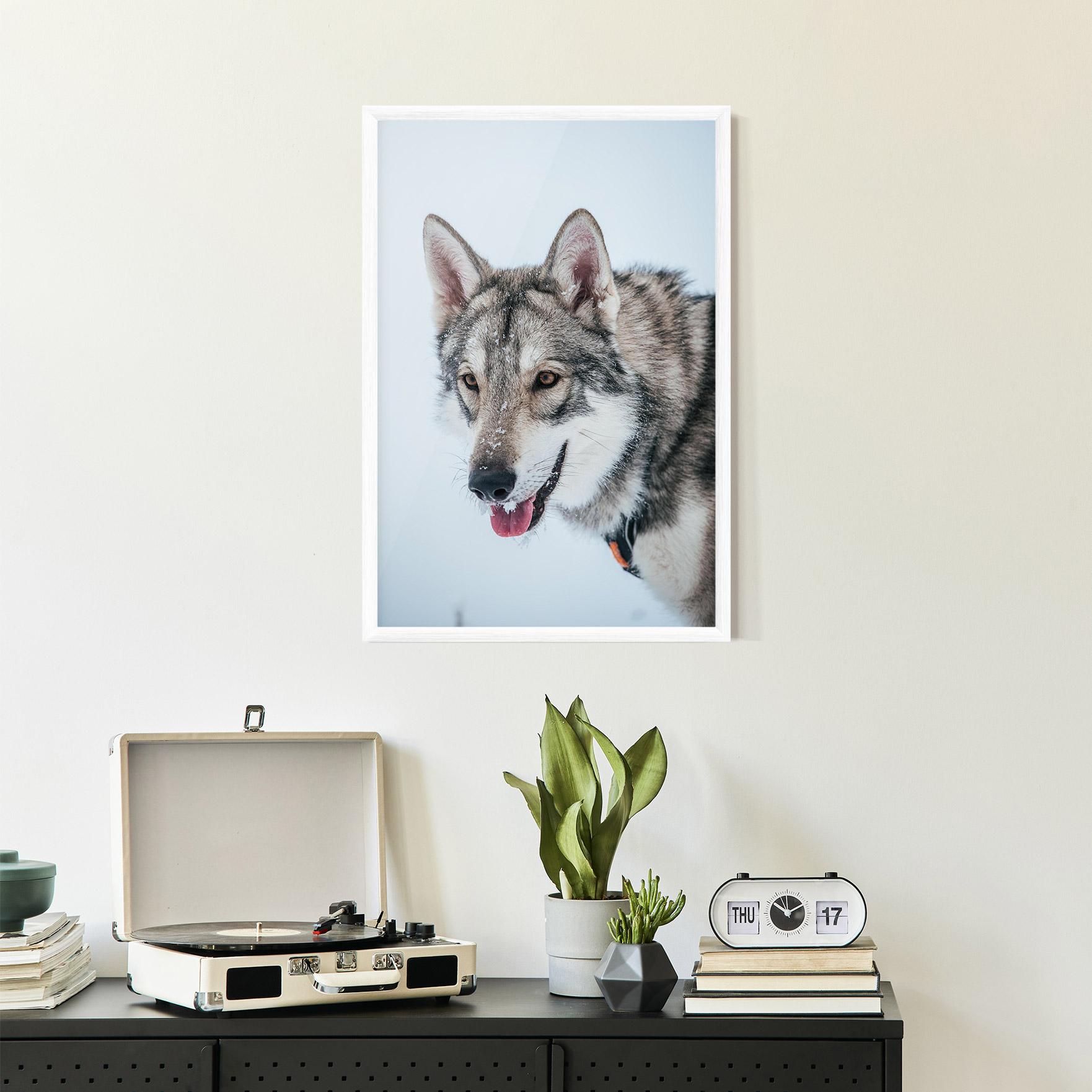 Plakat w Ramie Wolf Head mockup 2