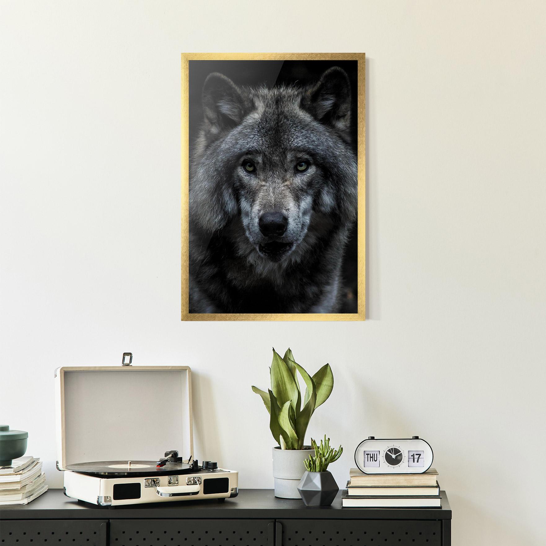 Plakat w Ramie Angry Wolf mockup 2