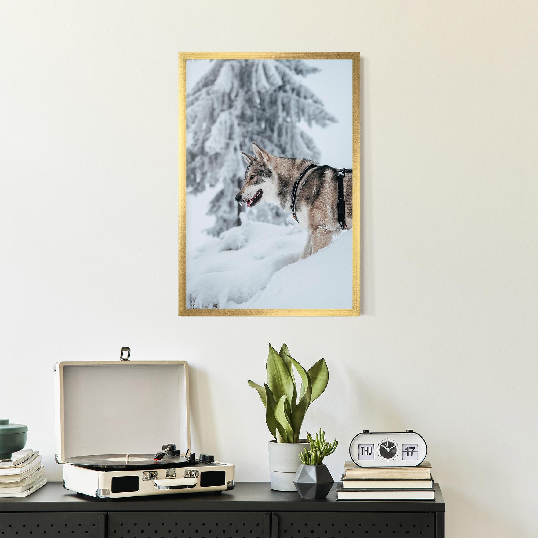 Plakat w Ramie Snow Wolf mockup 2