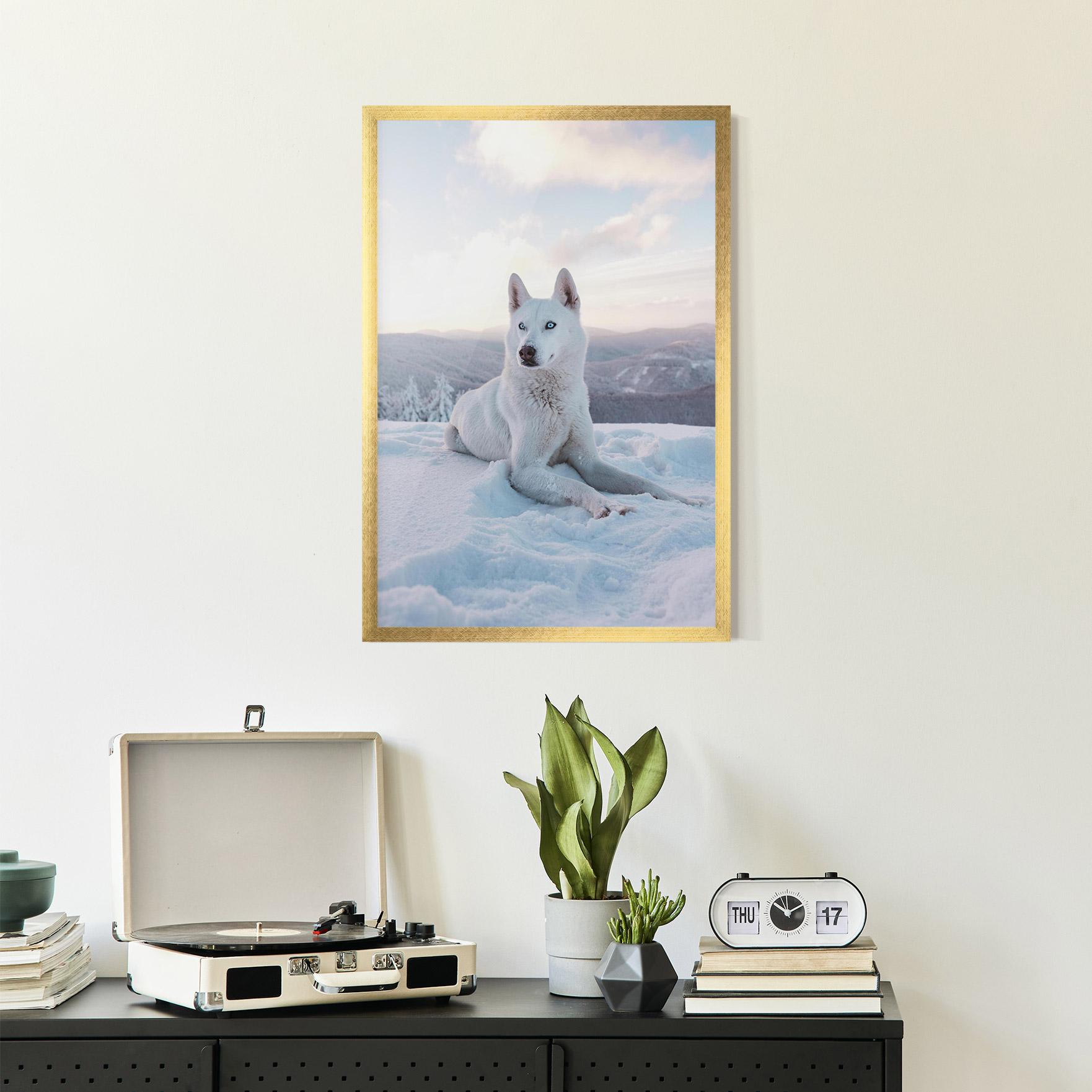 Plakat w Ramie White Snow Wolf mockup 2