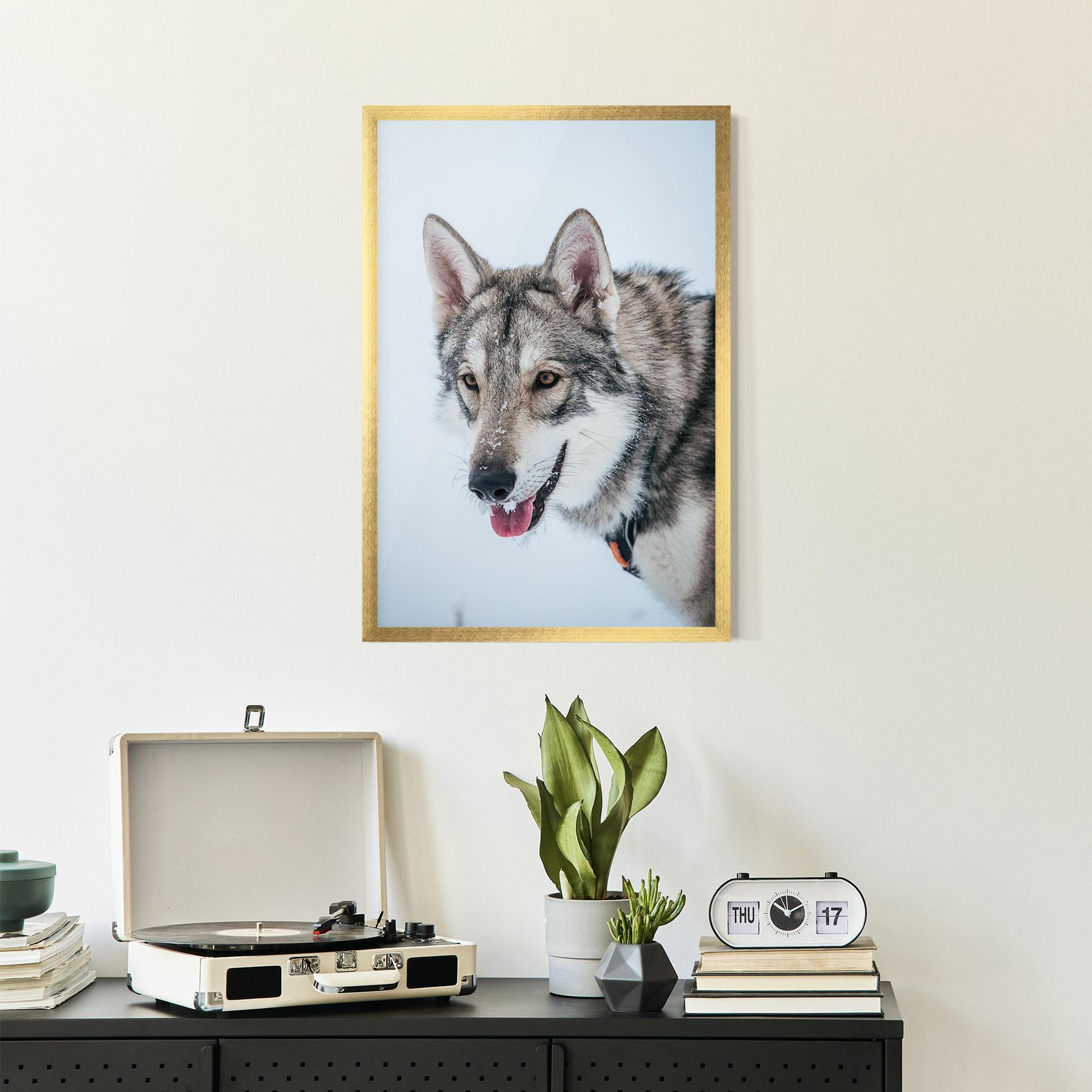 Plakat w Ramie Wolf Head mockup 2