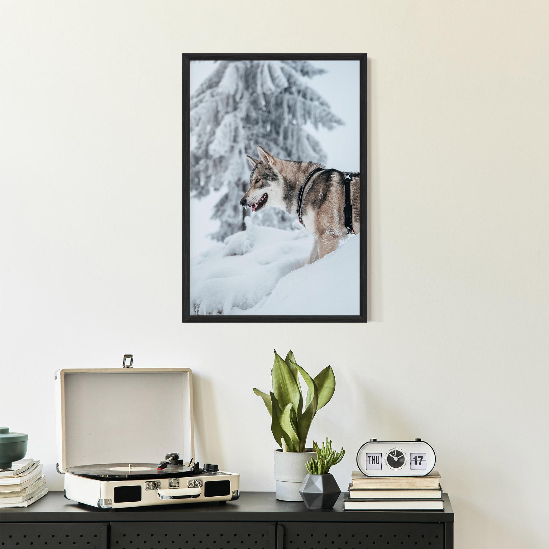 Plakat w Ramie Snow Wolf mockup 2