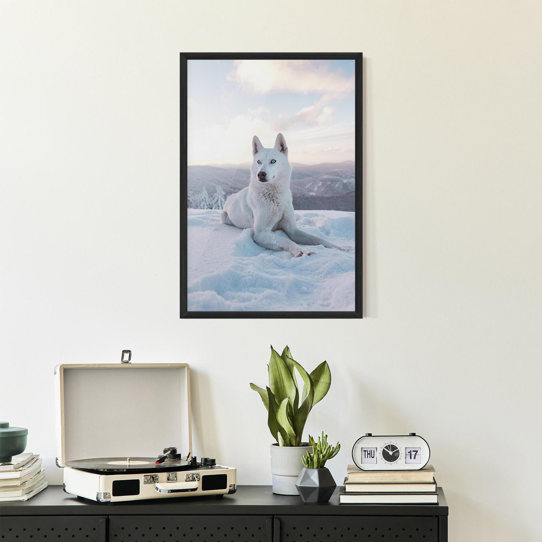 Plakat w Ramie White Snow Wolf mockup 2
