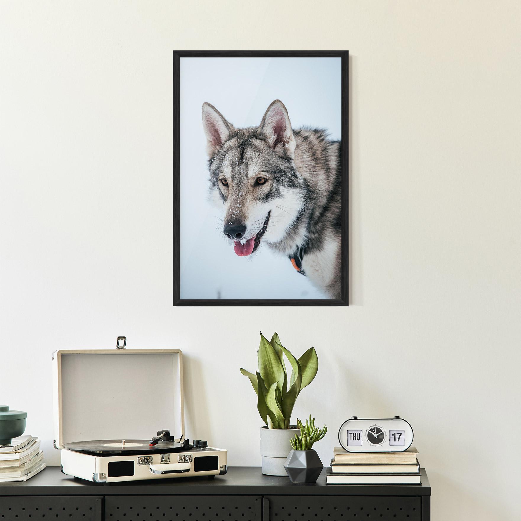Plakat w Ramie Wolf Head mockup 2