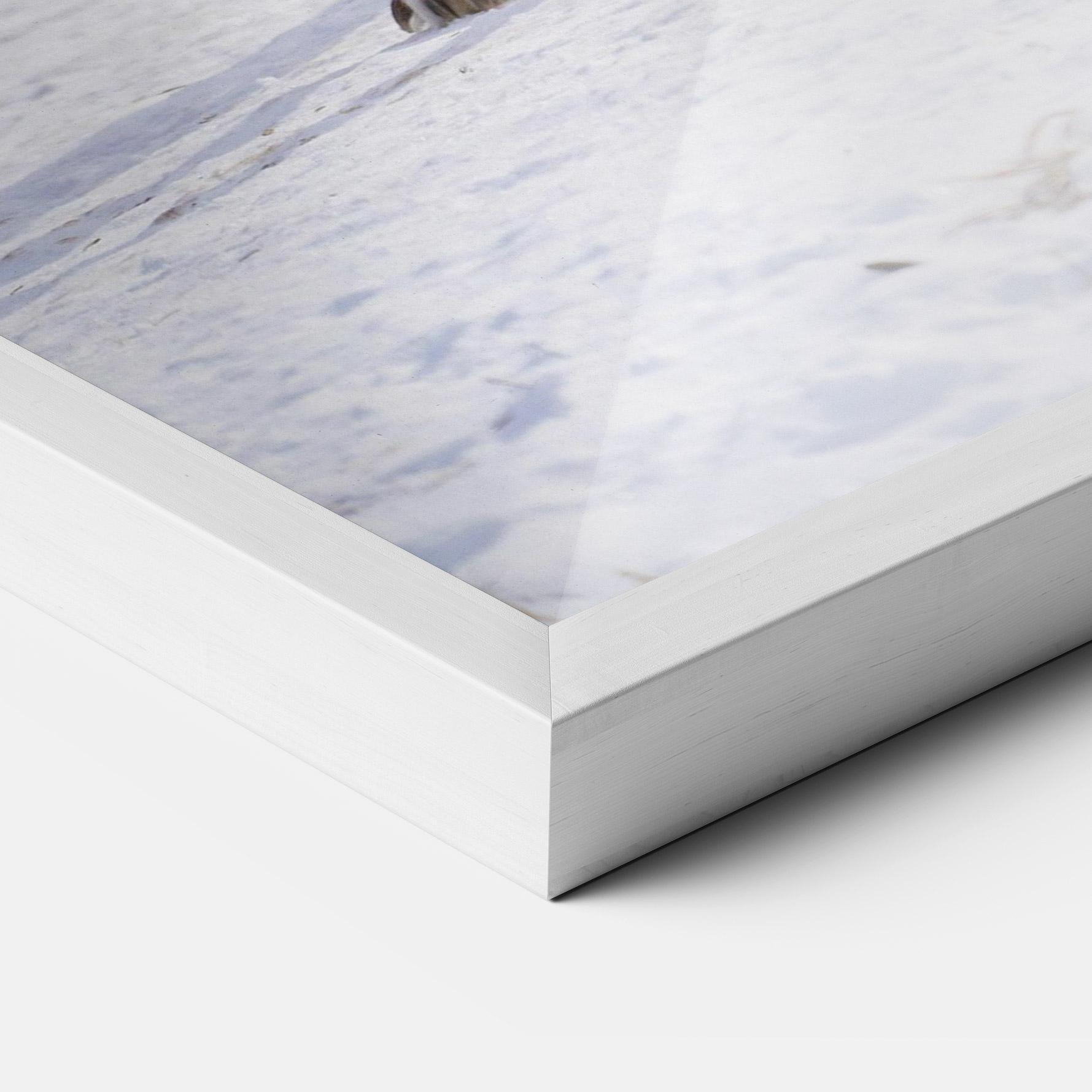 Plakat w Ramie Beautiful White Wolf mockup 3