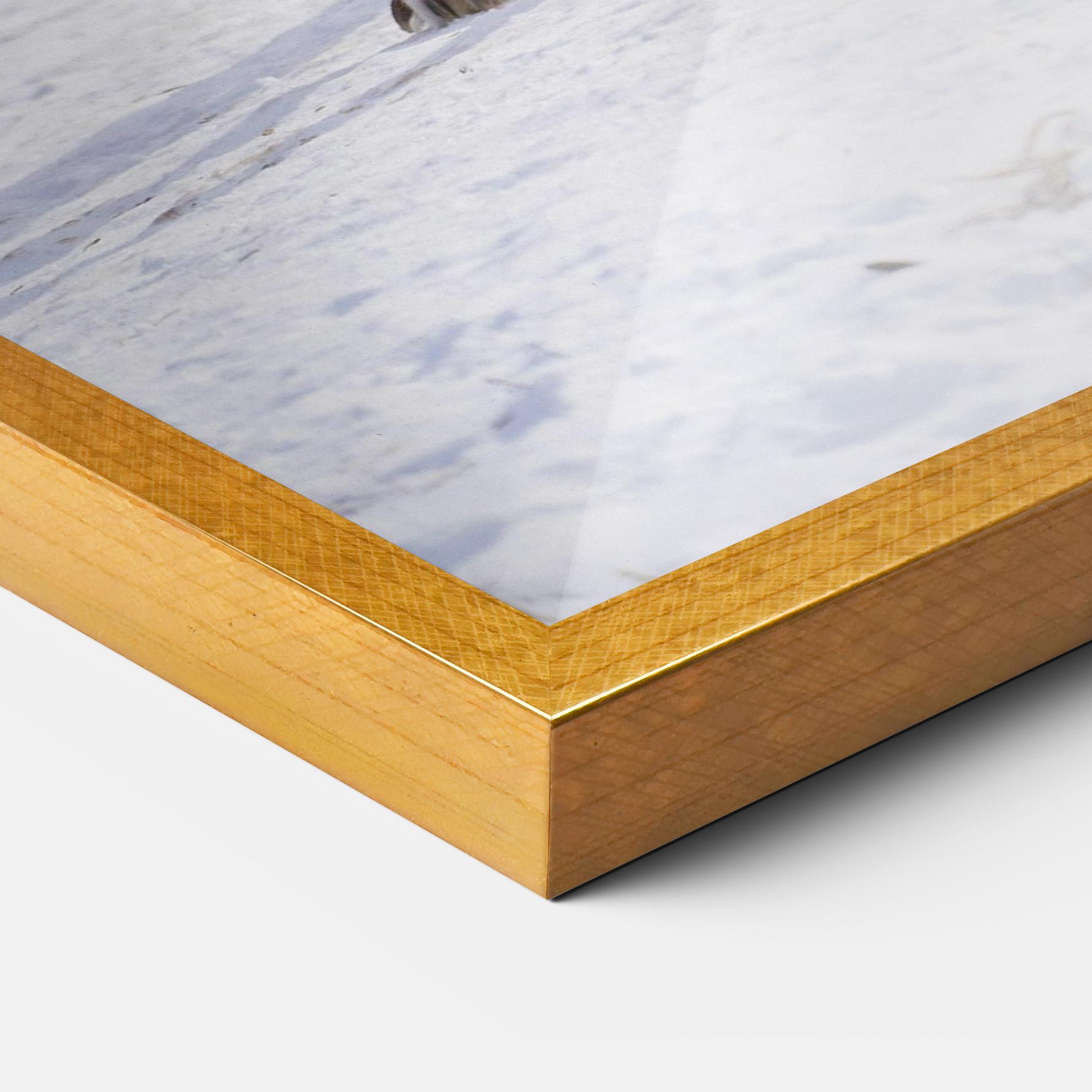 Plakat w Ramie Beautiful White Wolf mockup 3