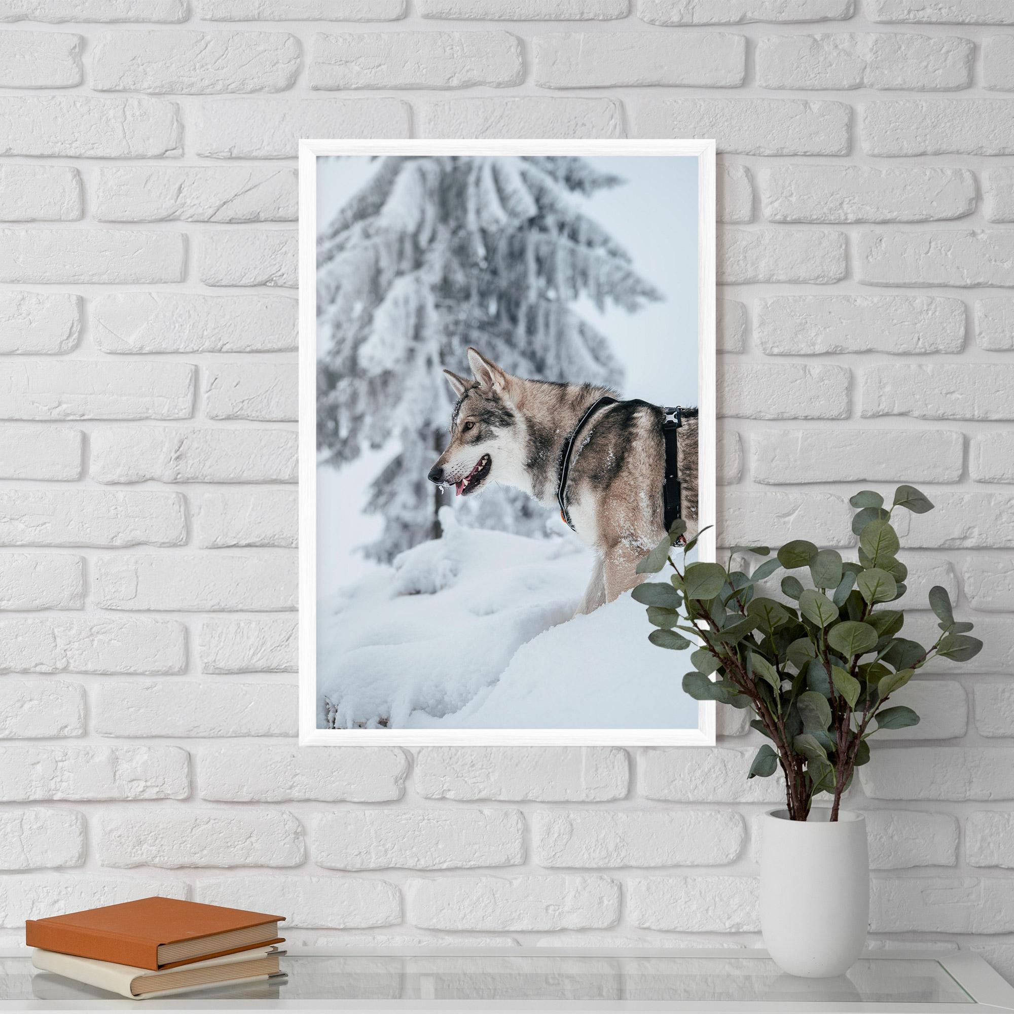 Plakat w Ramie Snow Wolf mockup 5
