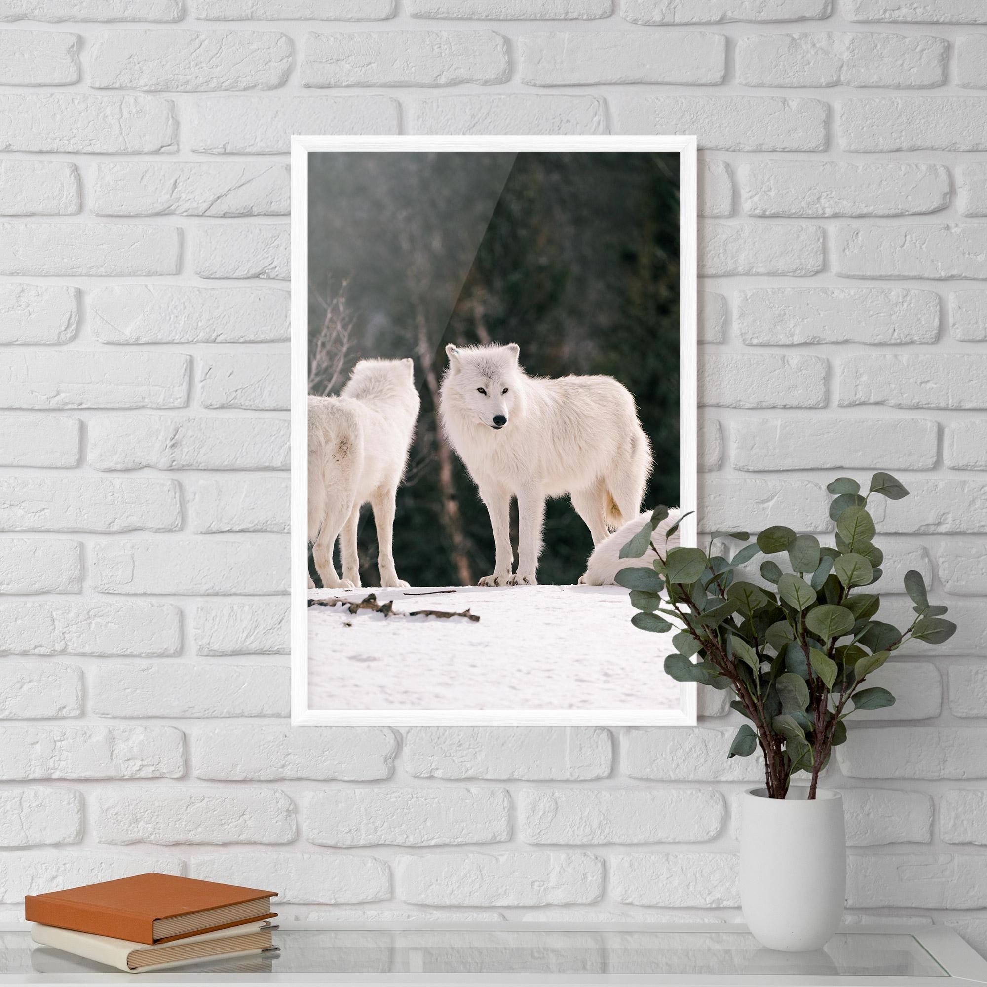 Plakat w Ramie White Wolf Waiting mockup 5