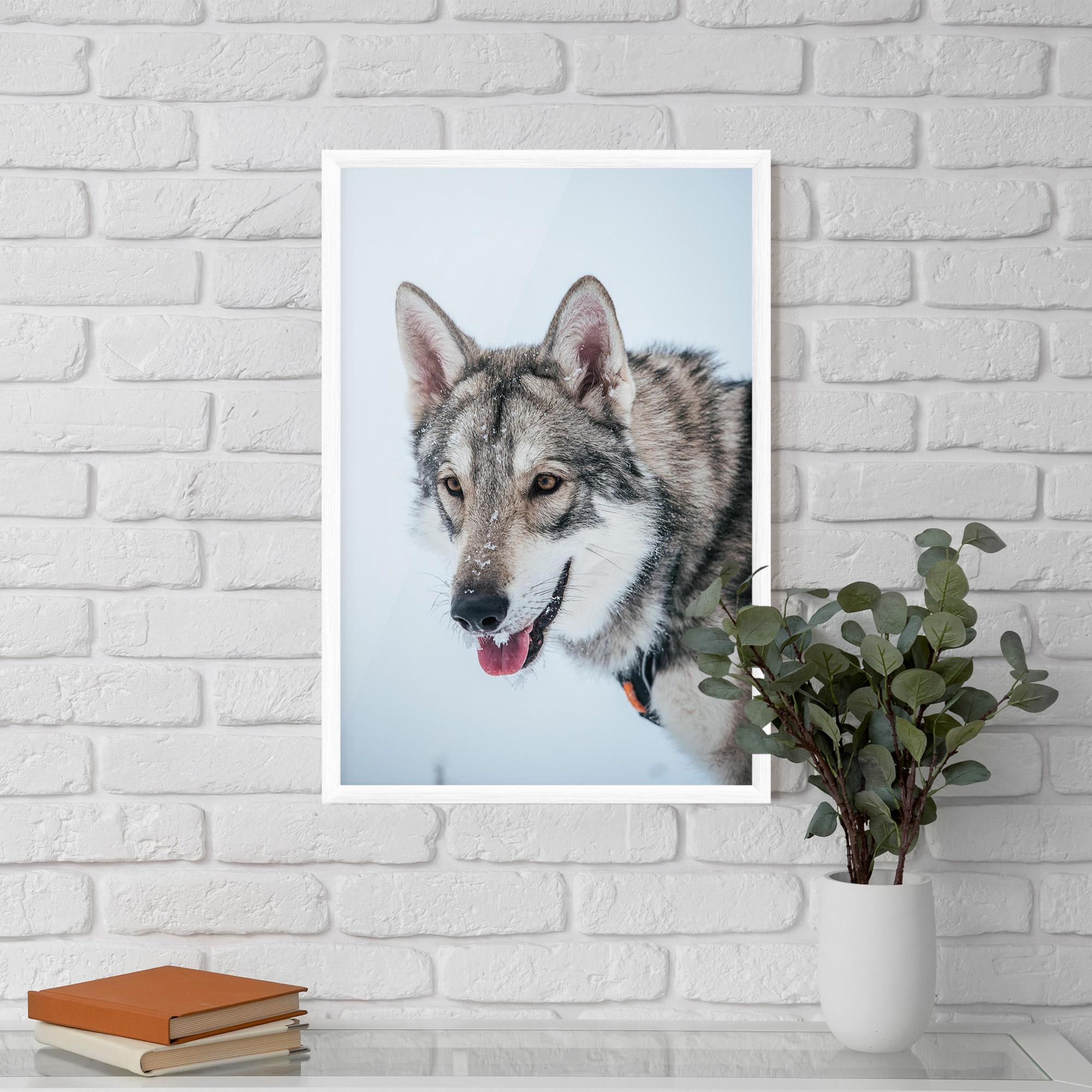 Plakat w Ramie Wolf Head mockup 5