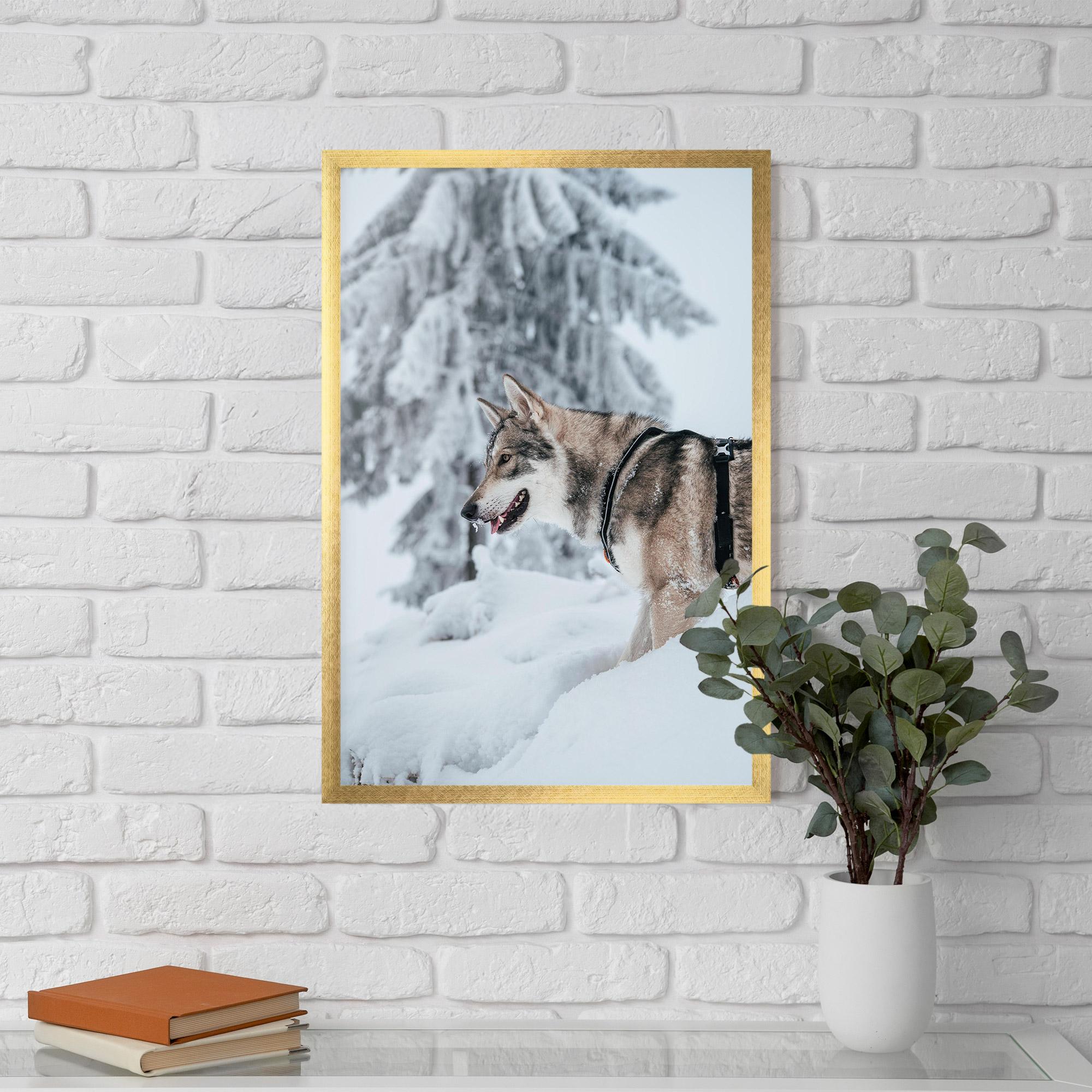 Plakat w Ramie Snow Wolf mockup 5
