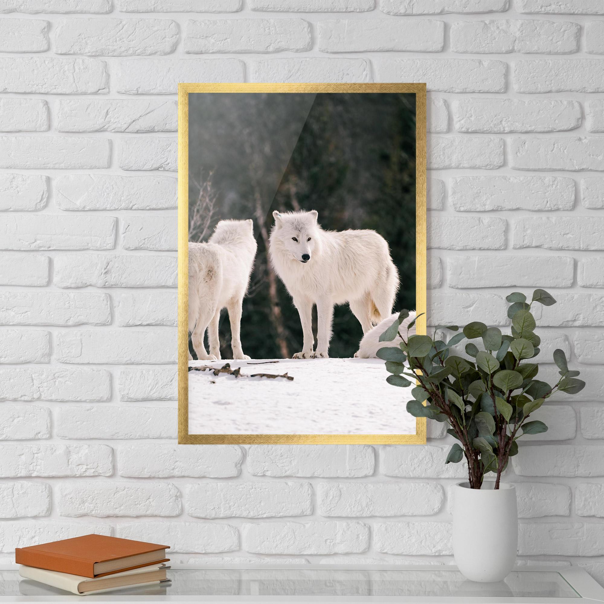 Plakat w Ramie White Wolf Waiting mockup 5