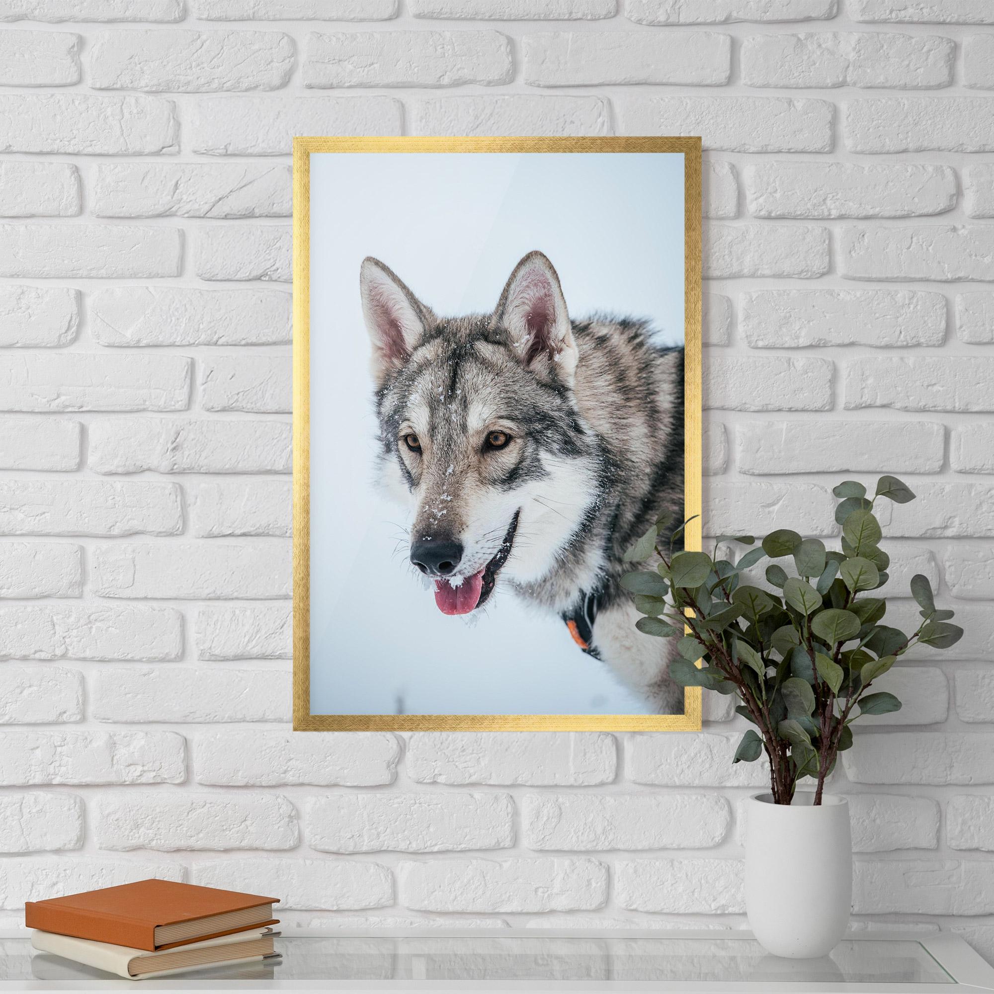 Plakat w Ramie Wolf Head mockup 5