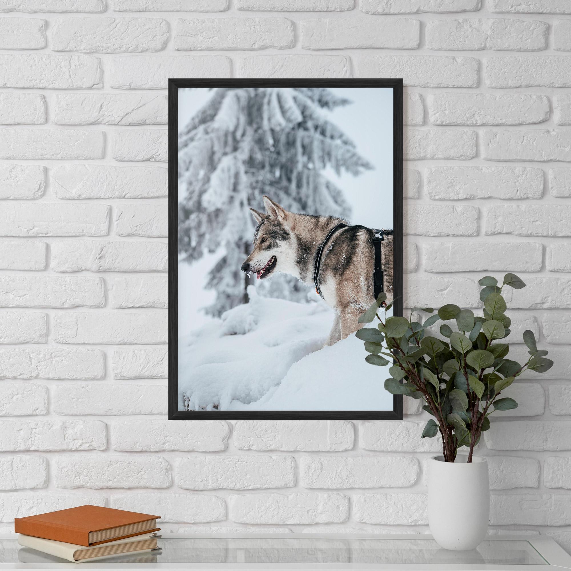 Plakat w Ramie Snow Wolf mockup 5