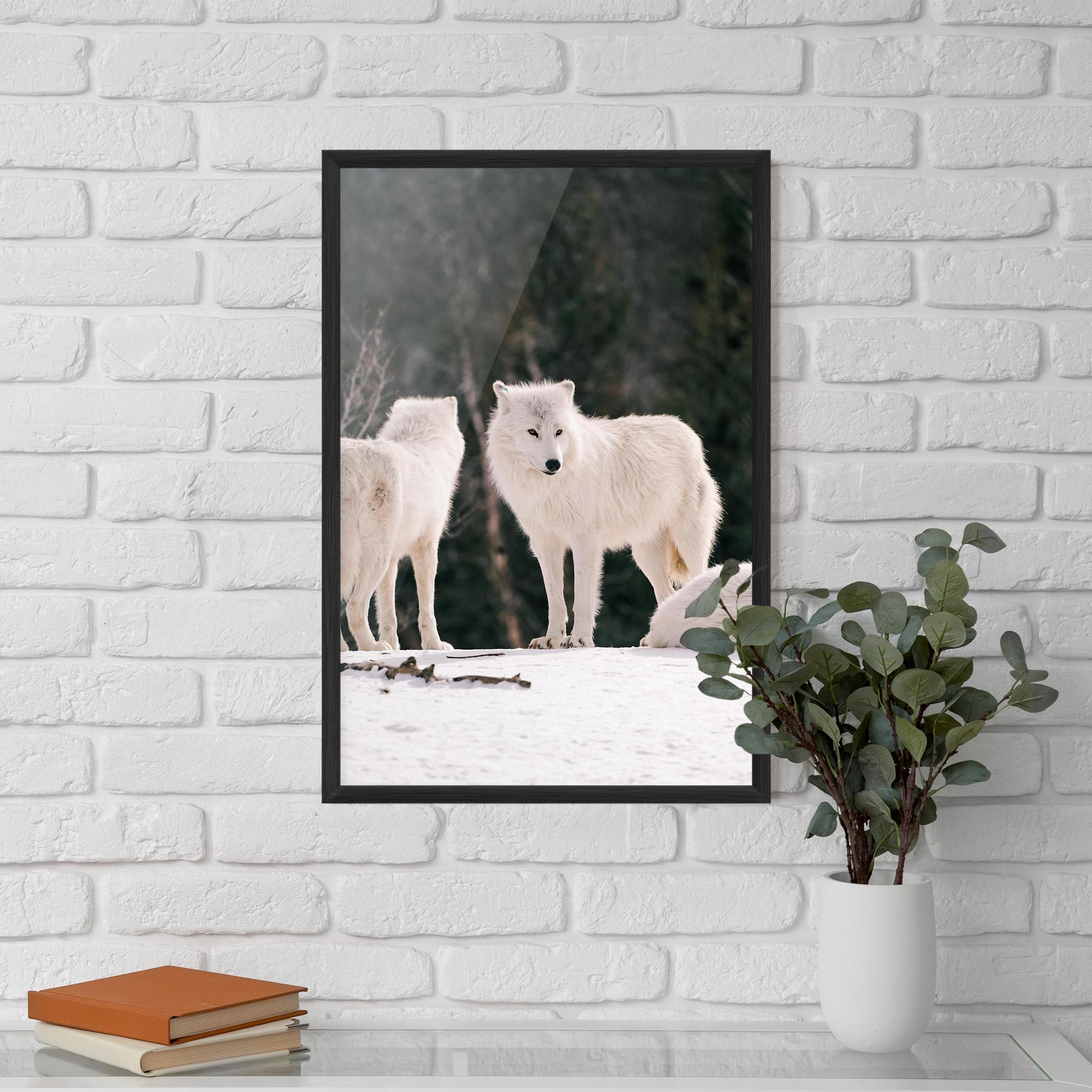 Plakat w Ramie White Wolf Waiting mockup 5
