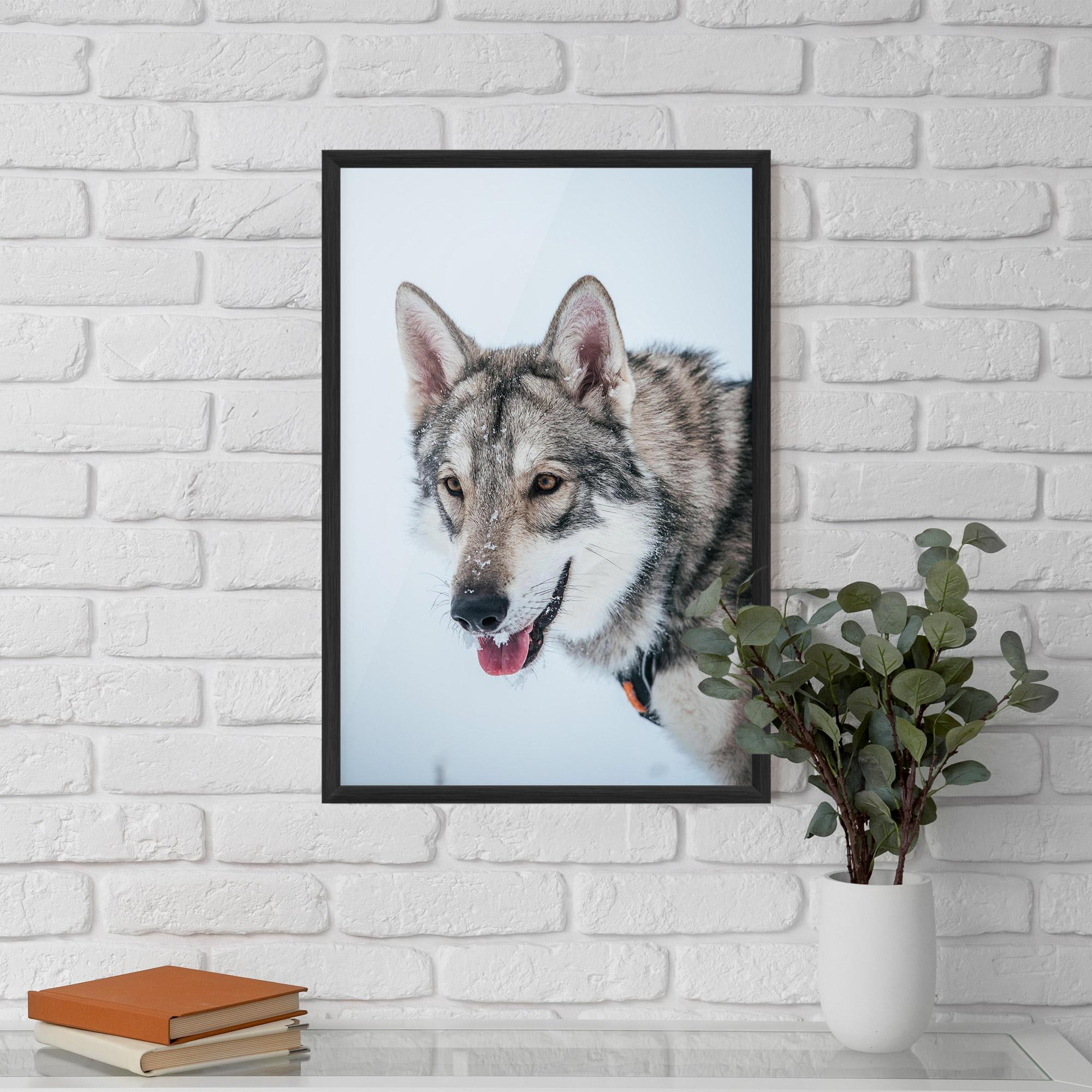 Plakat w Ramie Wolf Head mockup 5