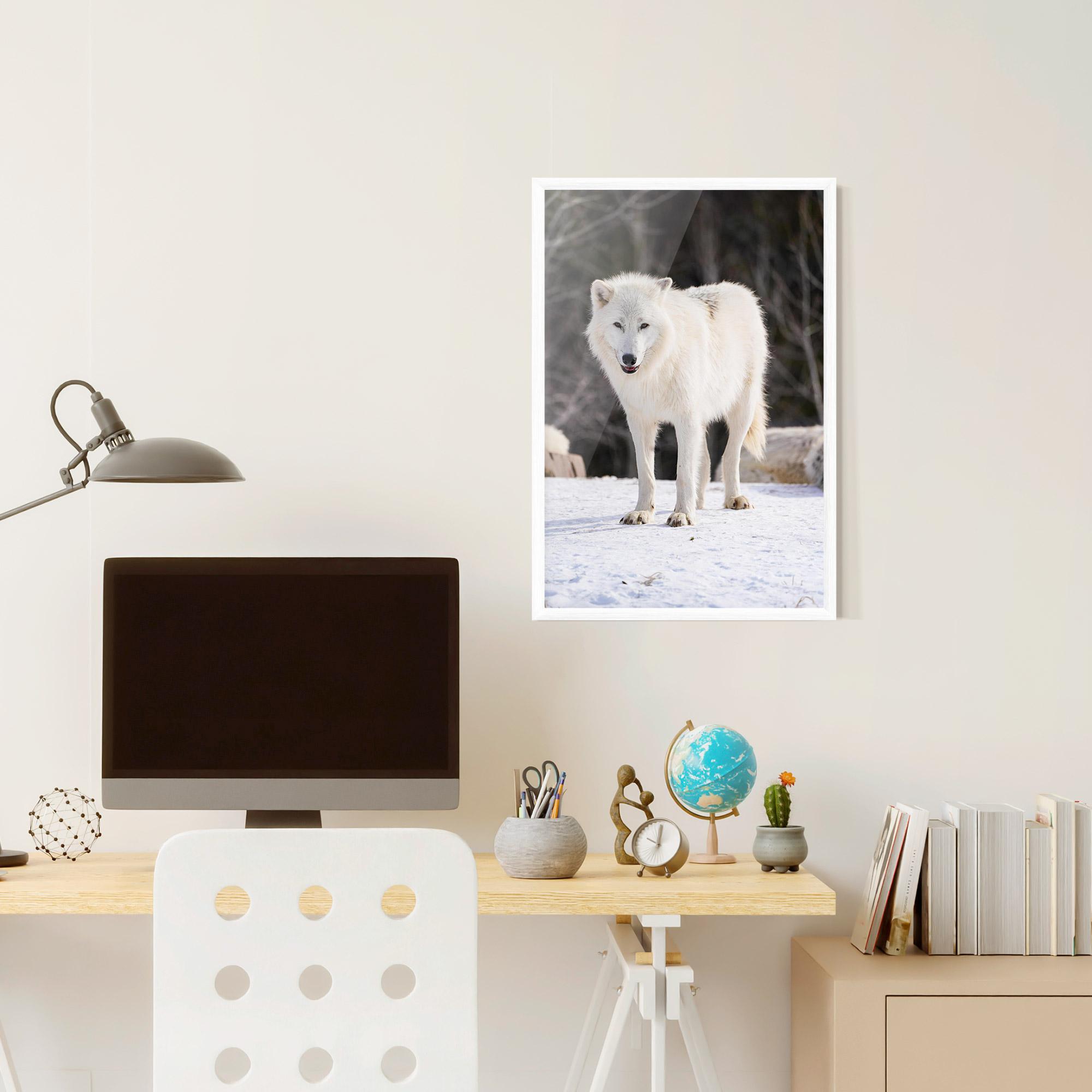 Plakat w Ramie Beautiful White Wolf mockup 6