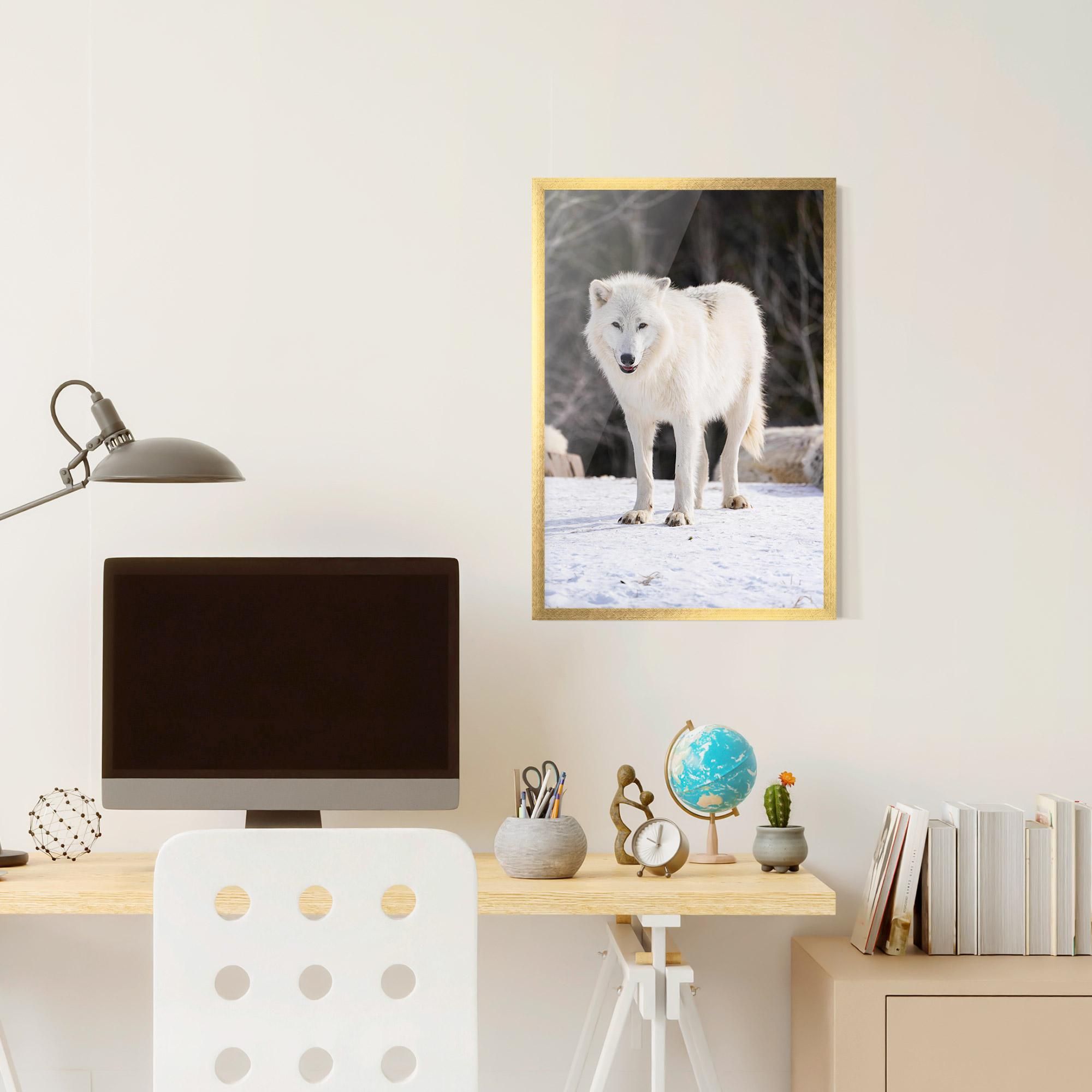 Plakat w Ramie Beautiful White Wolf mockup 6