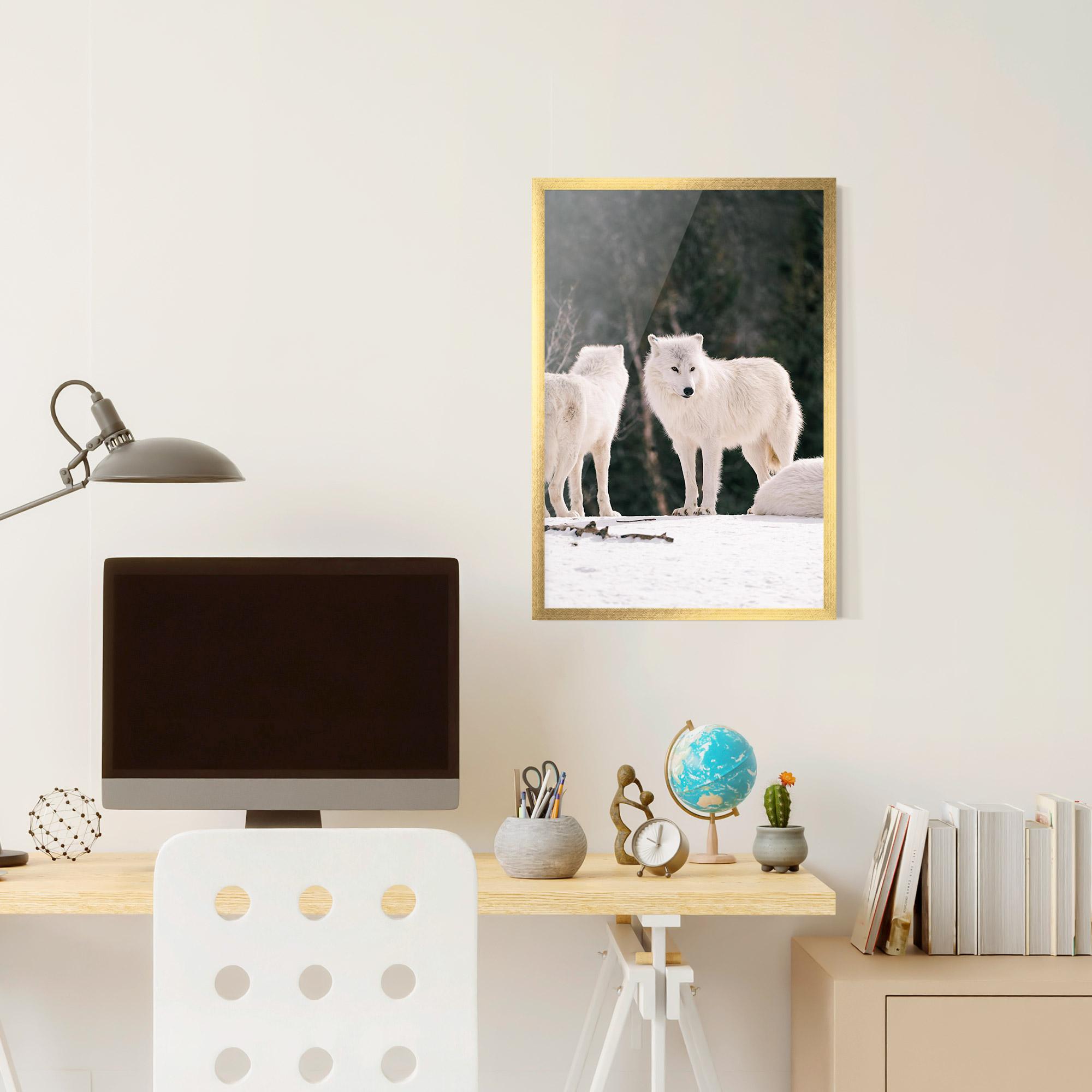 Plakat w Ramie White Wolf Waiting mockup 6