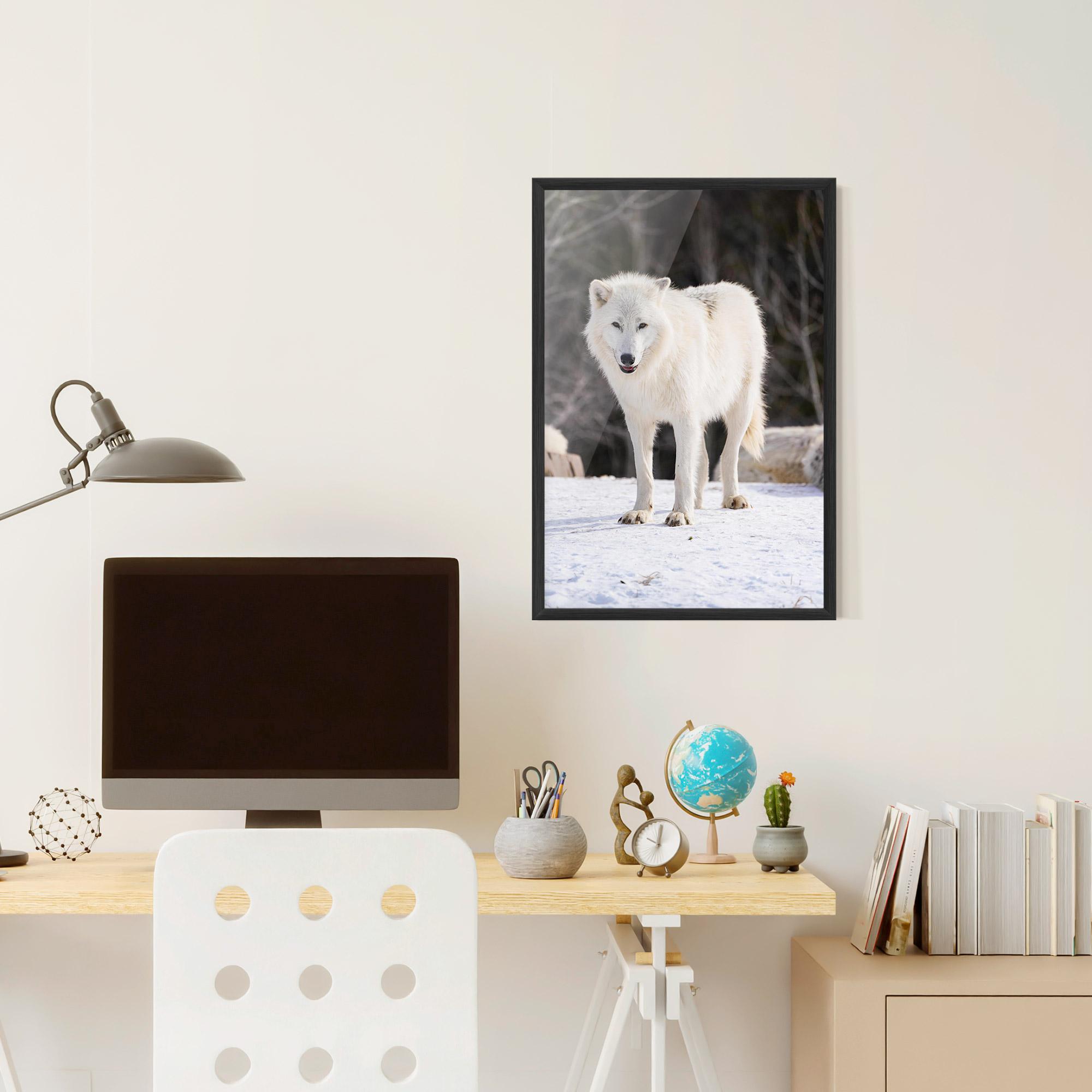 Plakat w Ramie Beautiful White Wolf mockup 6