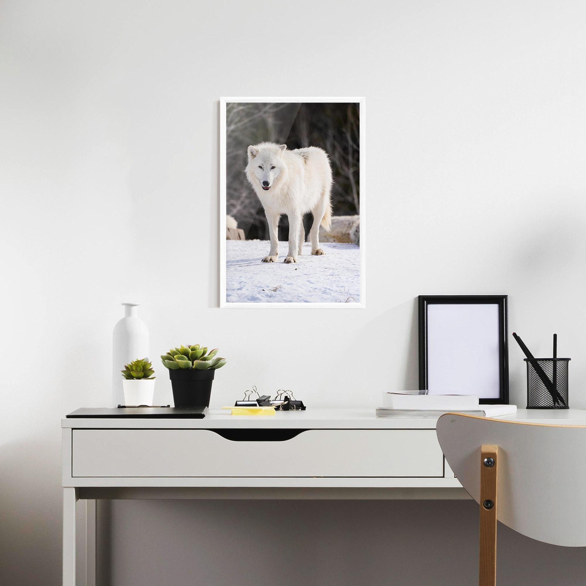 Plakat w Ramie Beautiful White Wolf mockup 7