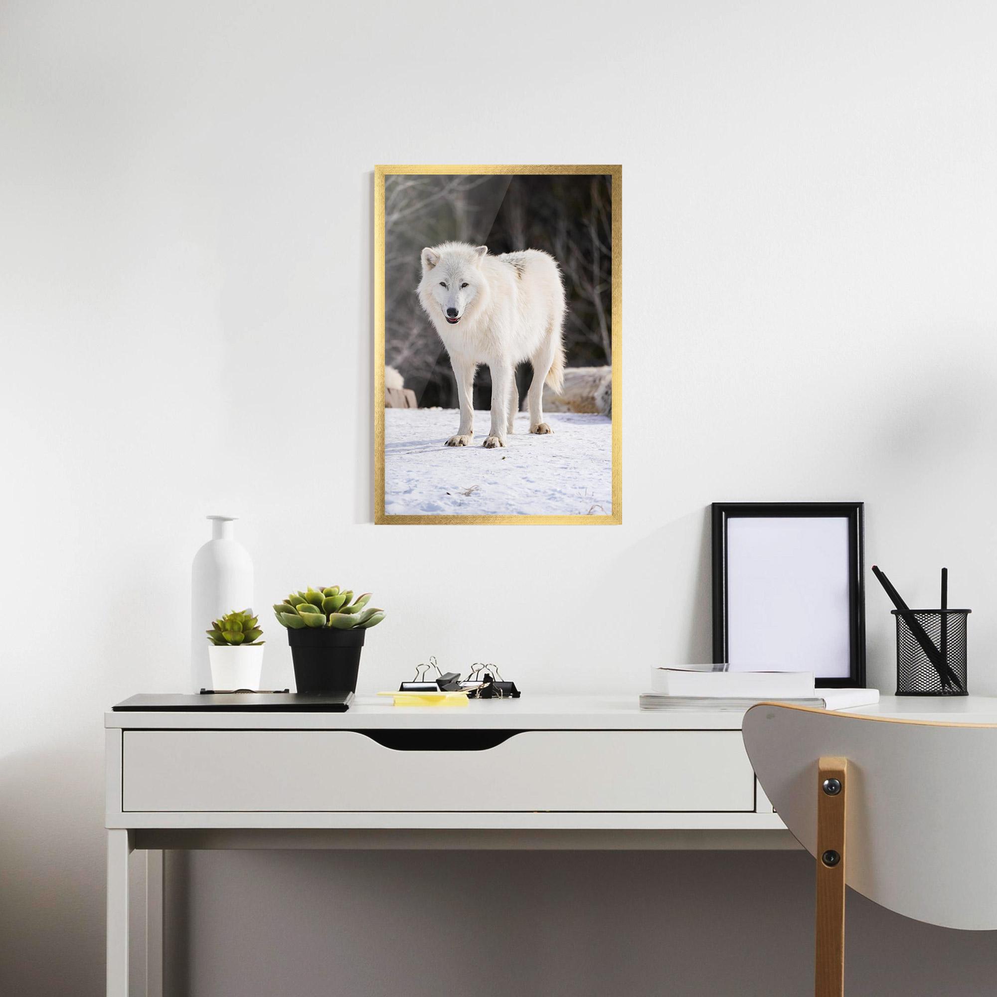 Plakat w Ramie Beautiful White Wolf mockup 7