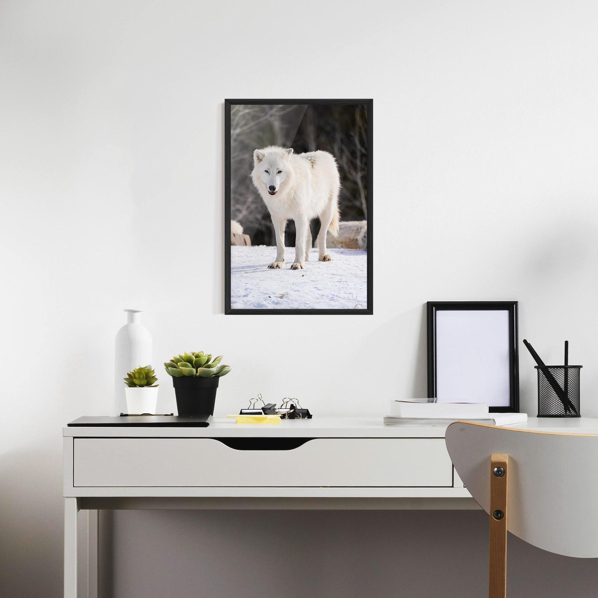 Plakat w Ramie Beautiful White Wolf mockup 7