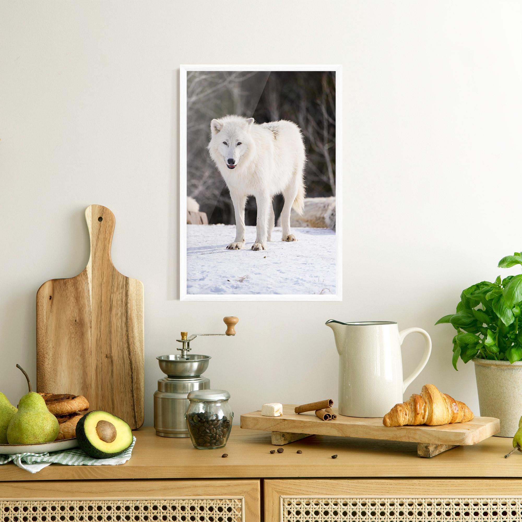 Plakat w Ramie Beautiful White Wolf mockup 8