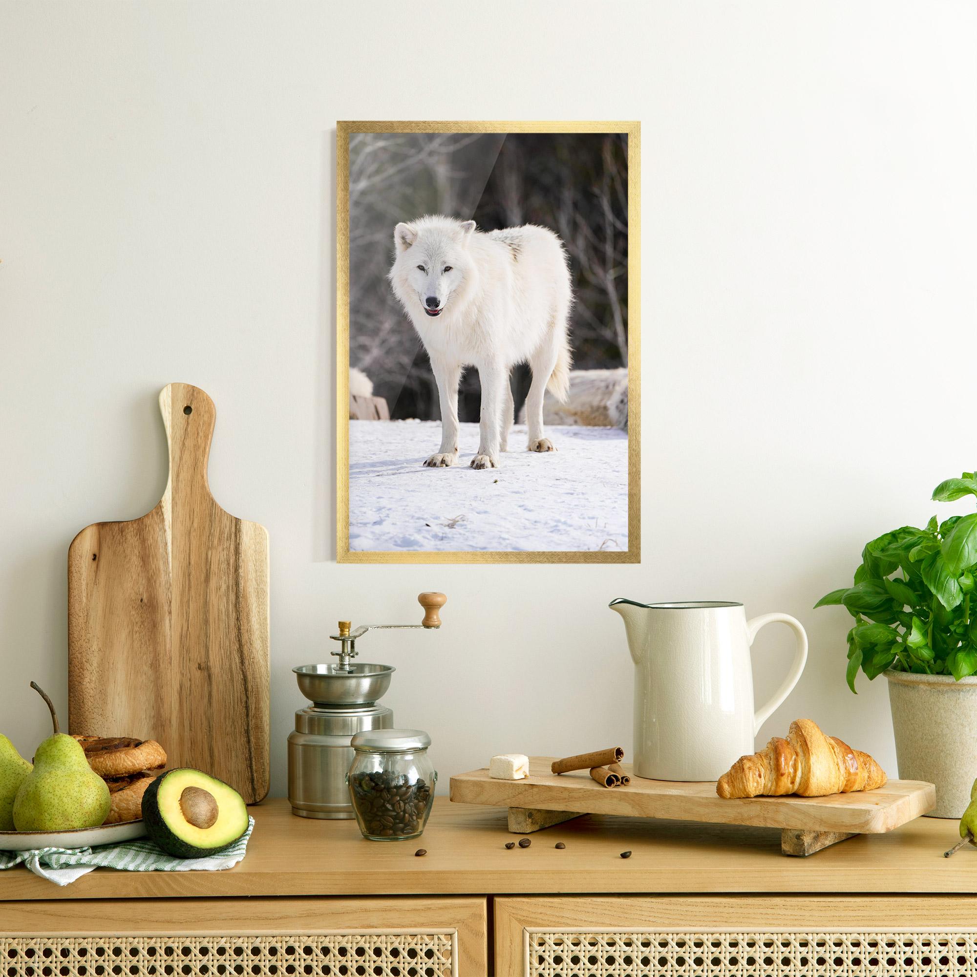 Plakat w Ramie Beautiful White Wolf mockup 8