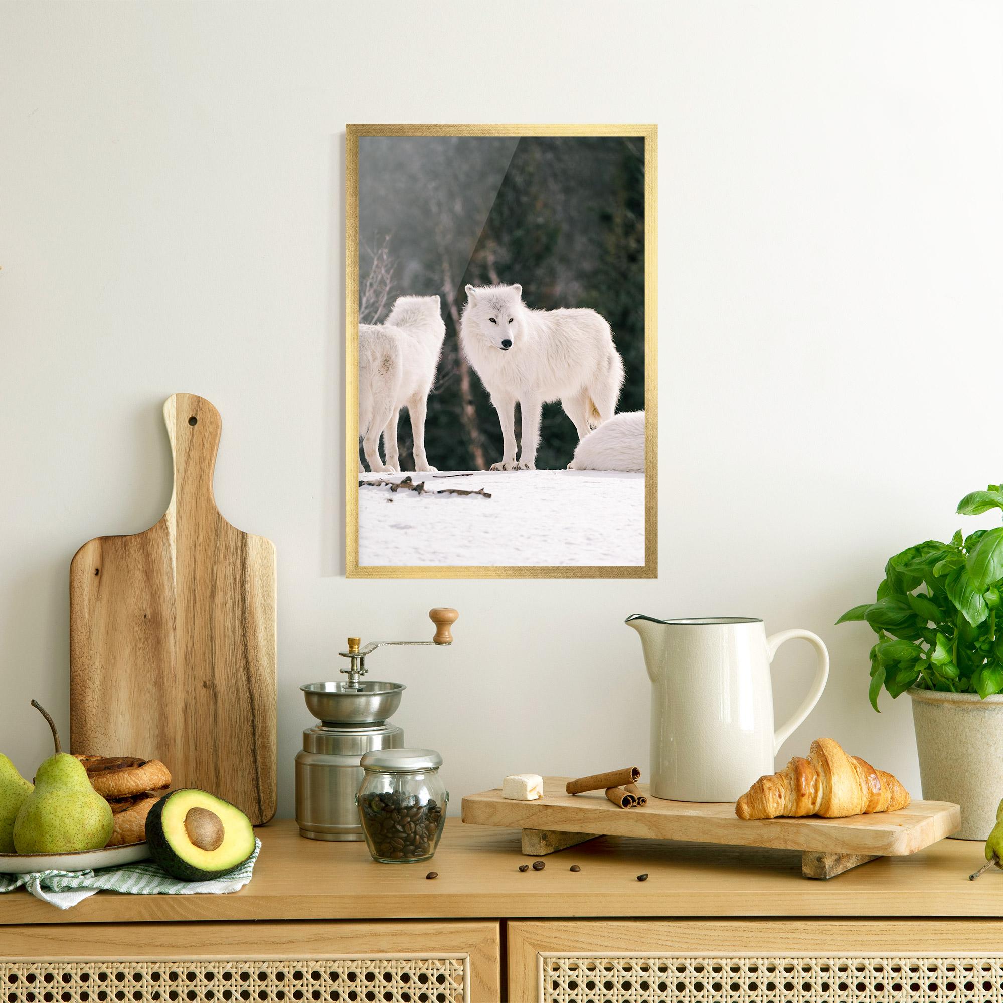 Plakat w Ramie White Wolf Waiting mockup 8