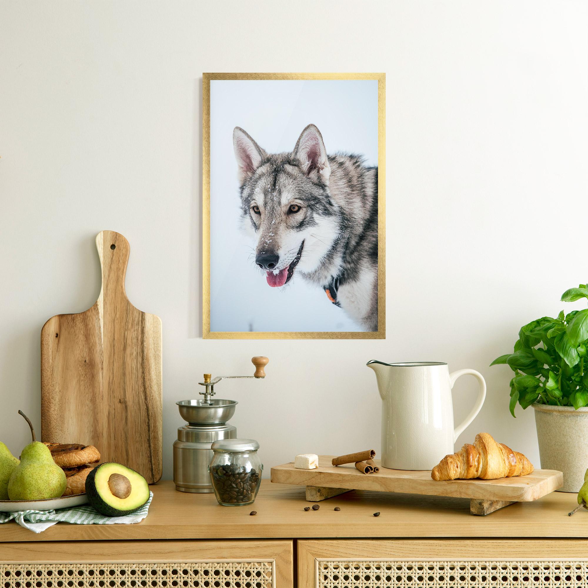 Plakat w Ramie Wolf Head mockup 8