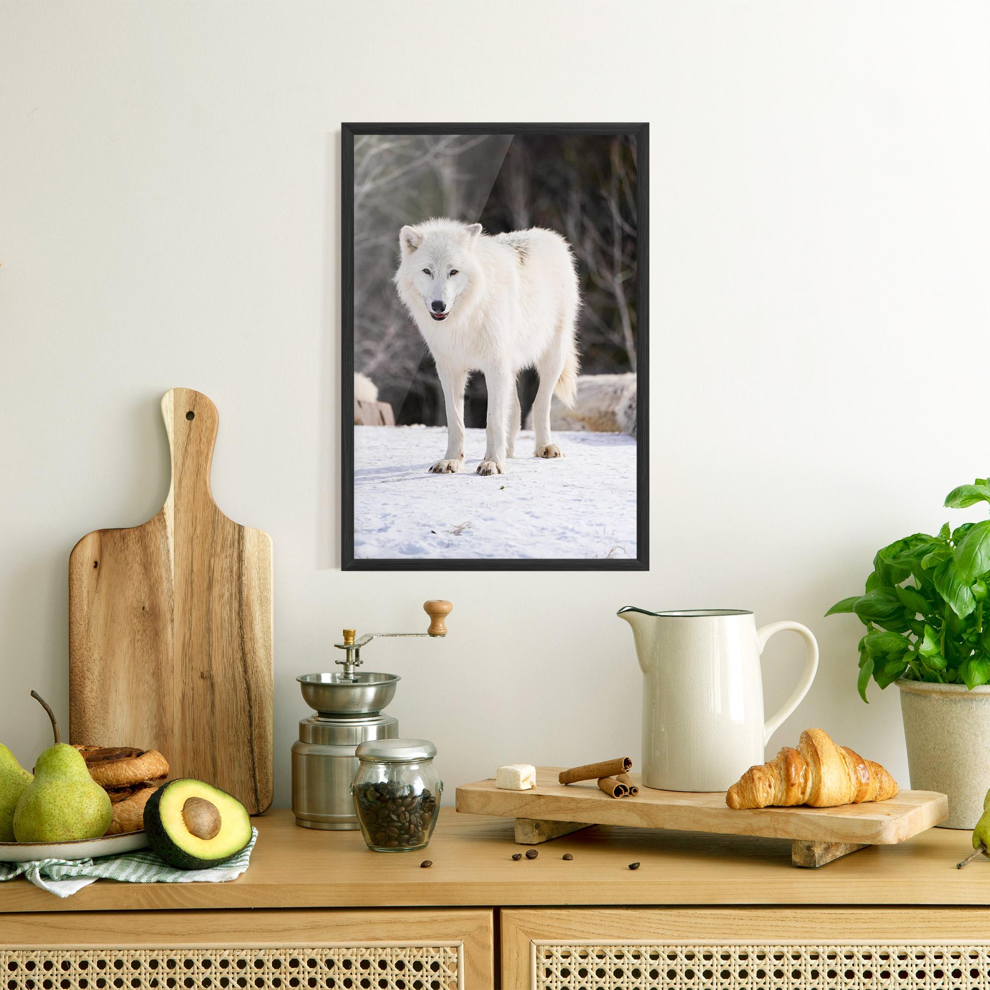 Plakat w Ramie Beautiful White Wolf mockup 8