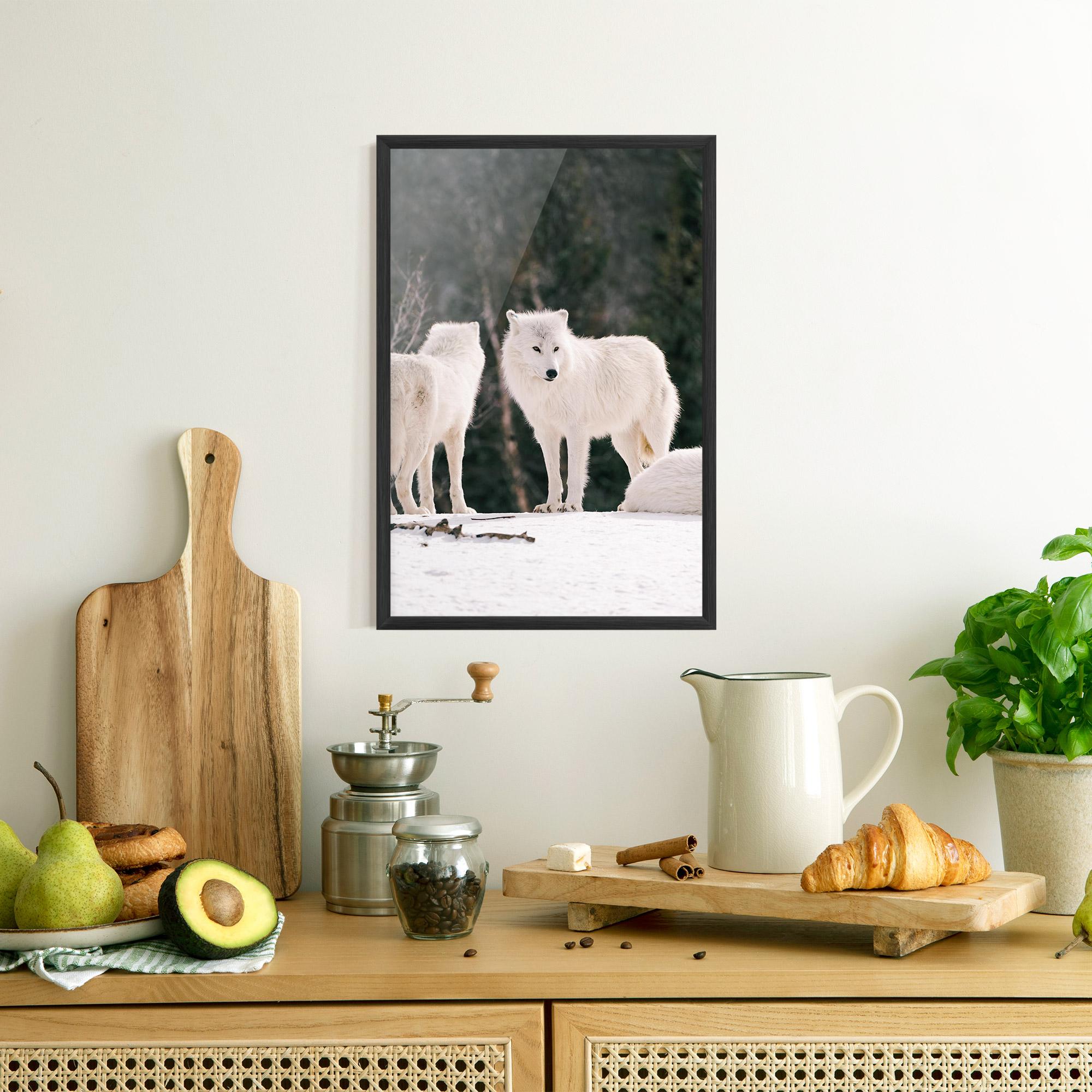 Plakat w Ramie White Wolf Waiting mockup 8
