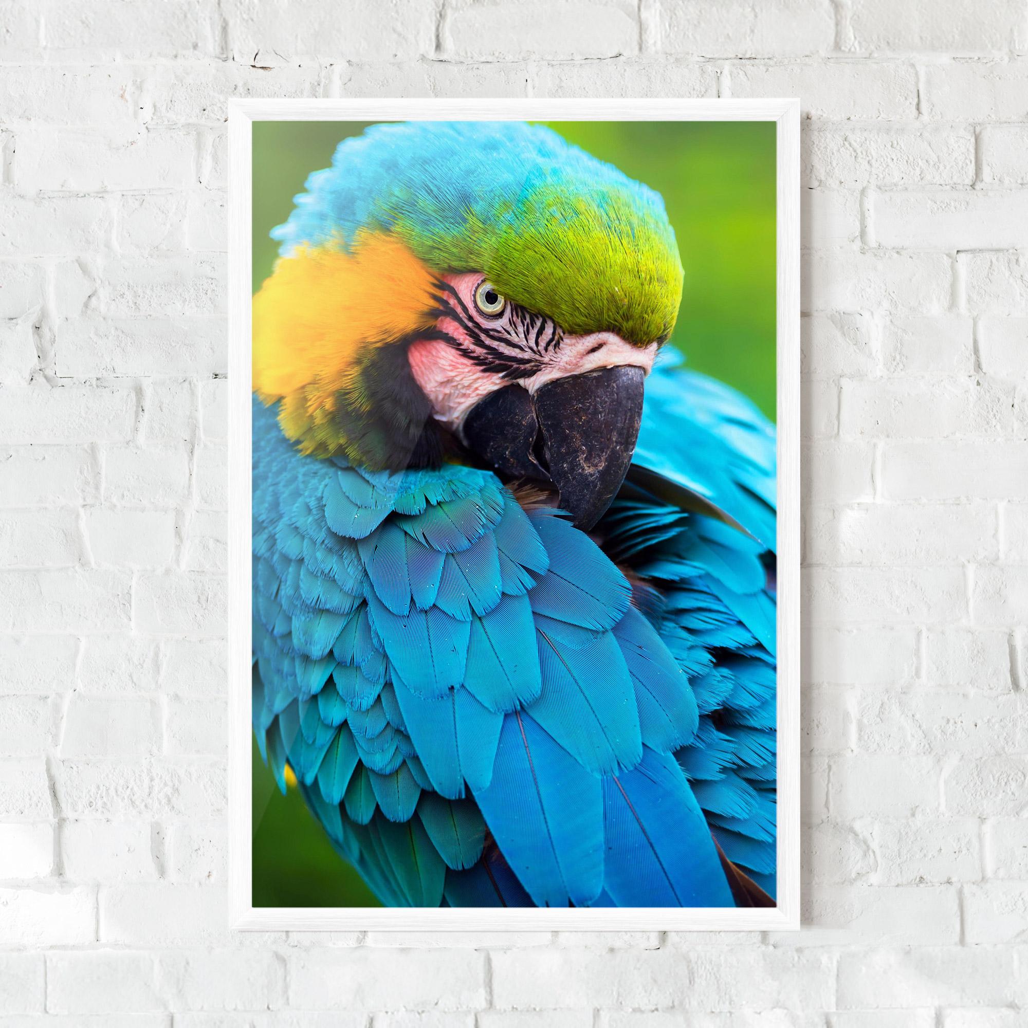 Plakat w Ramie Blue Parrot mockup 0