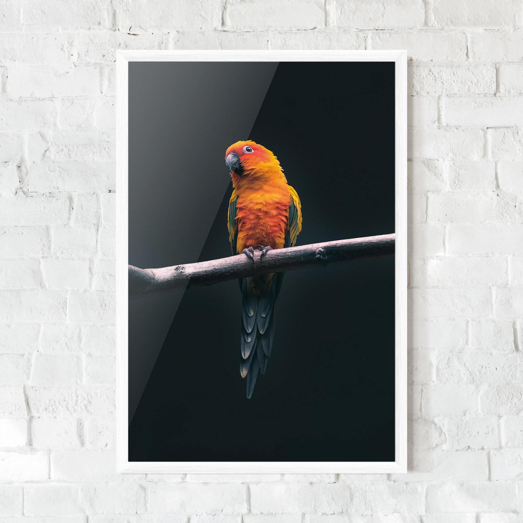 Plakat w Ramie Fire Parrot mockup 0