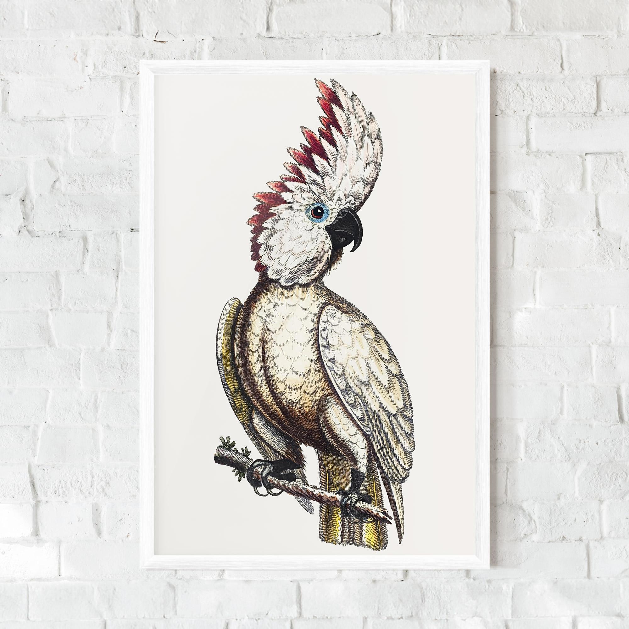 Plakat w Ramie Interesting Bird mockup 0