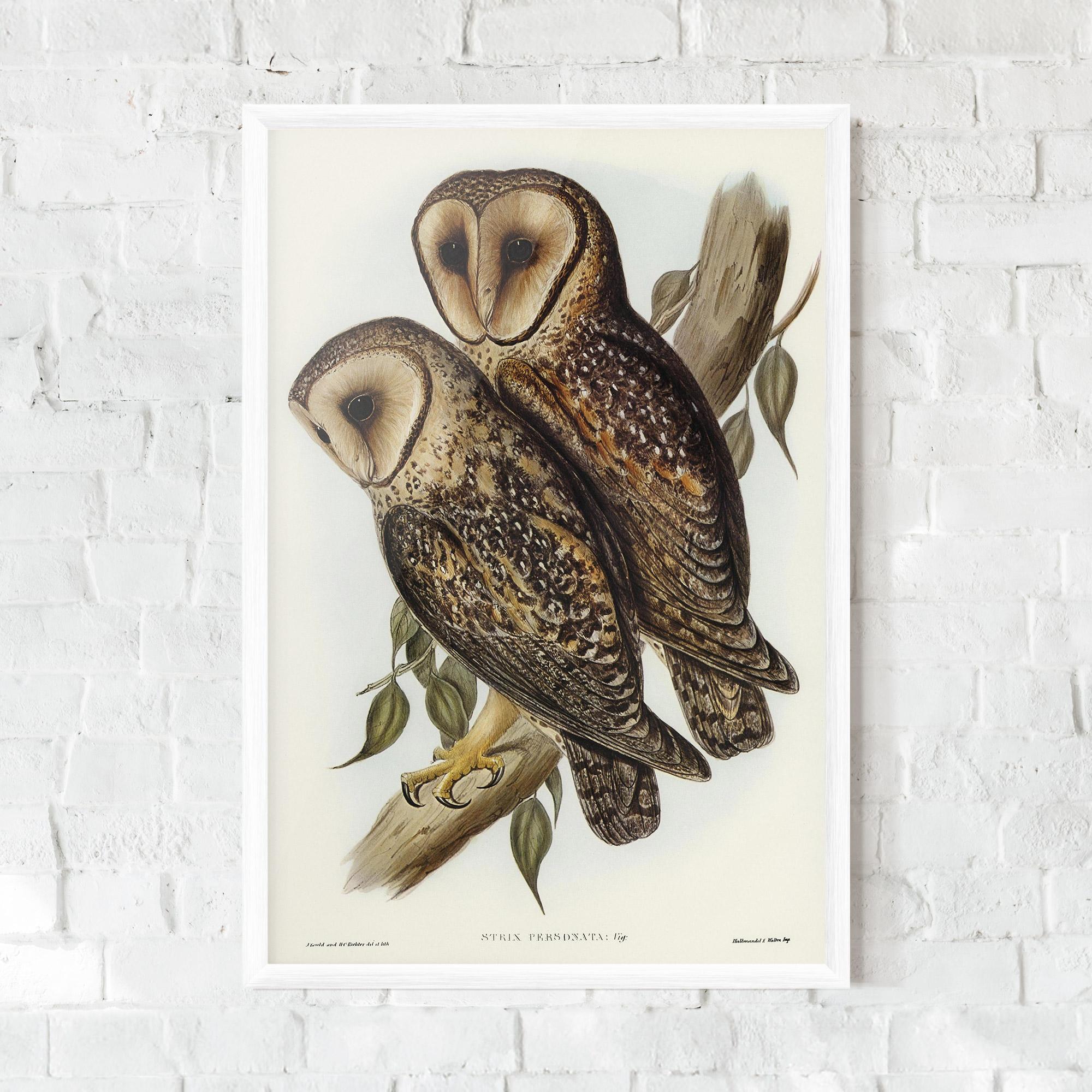 Plakat w Ramie Owl Family mockup 0