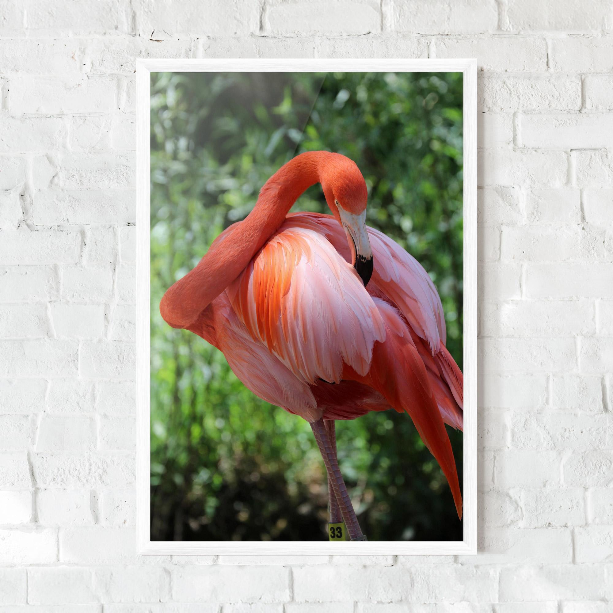Plakat w Ramie Red Flamingo mockup 0