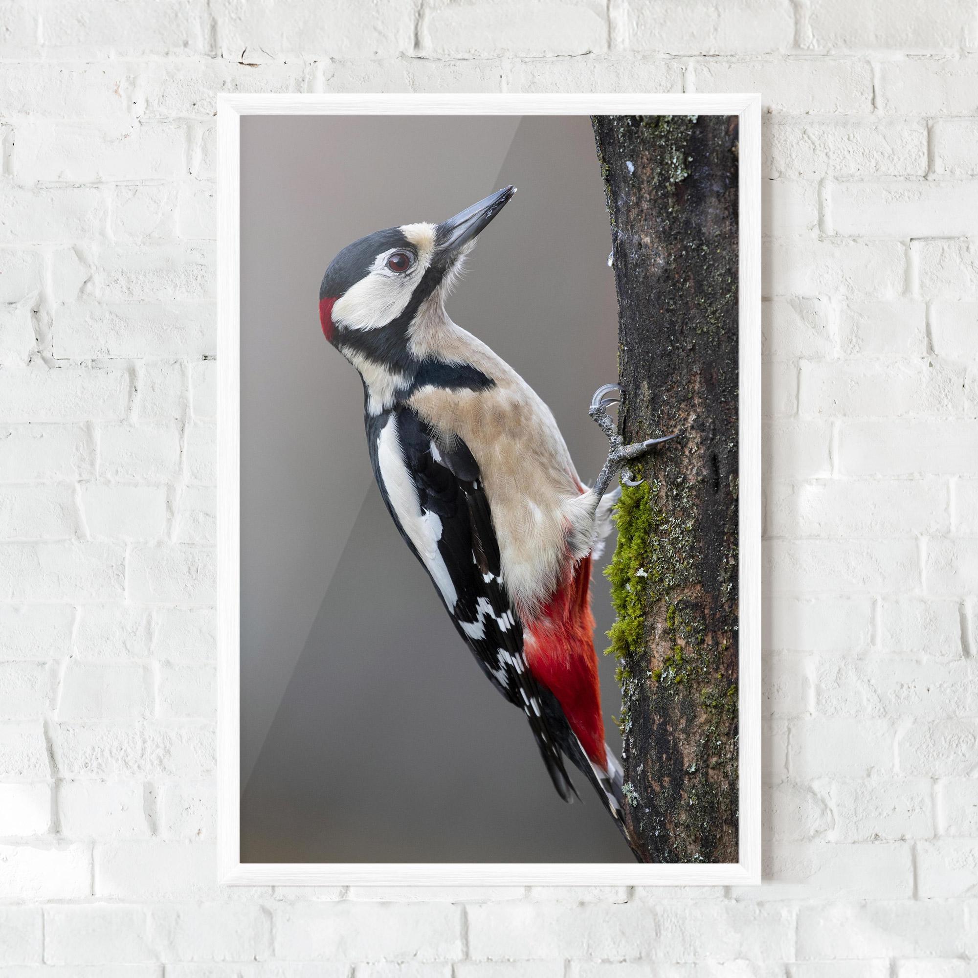 Plakat w Ramie Woodpecker mockup 0