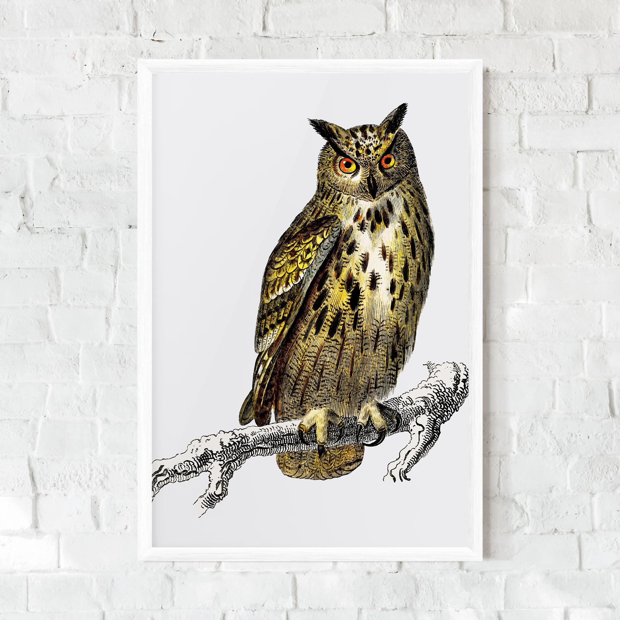 Plakat w Ramie Yellow Owl mockup 0