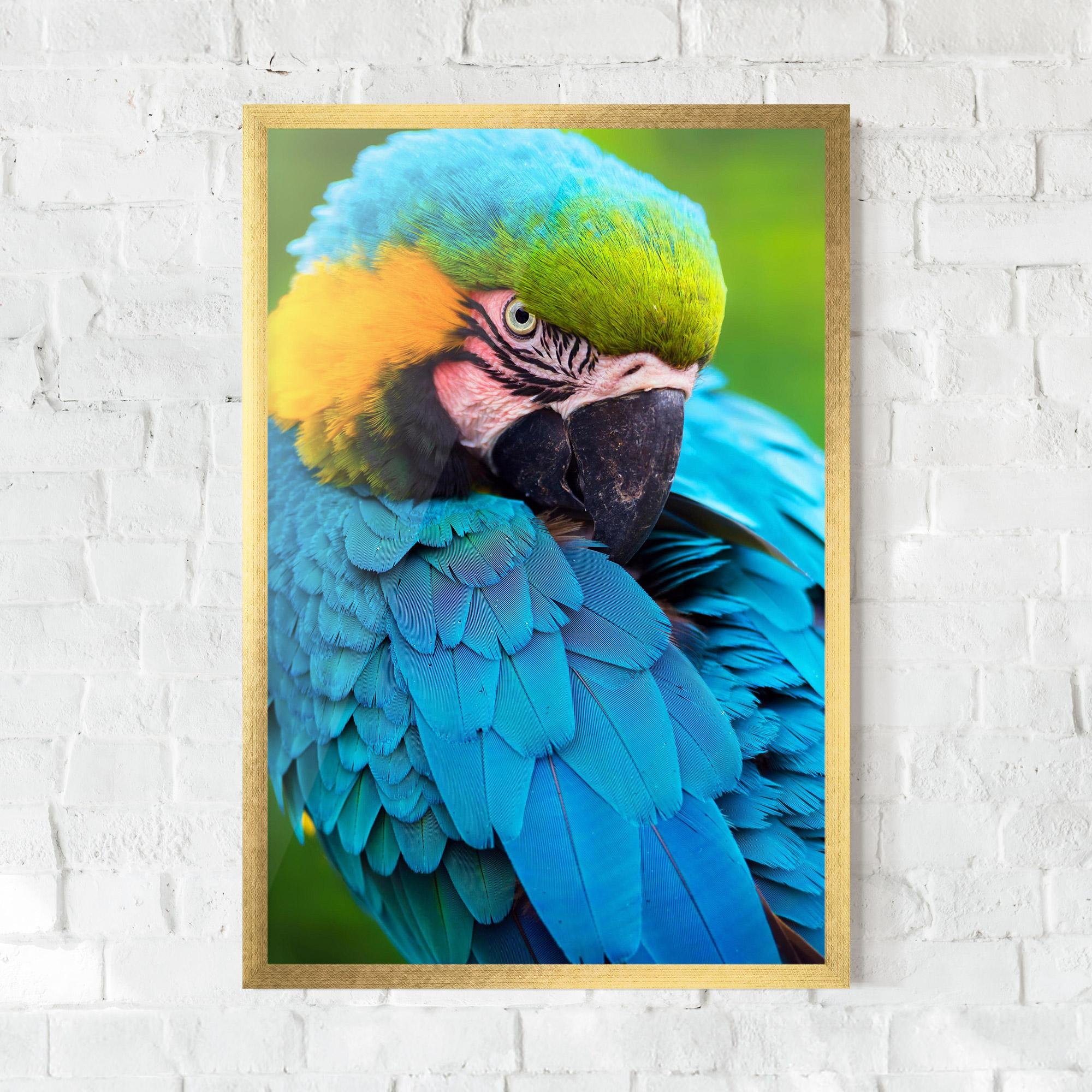 Plakat w Ramie Blue Parrot mockup 0