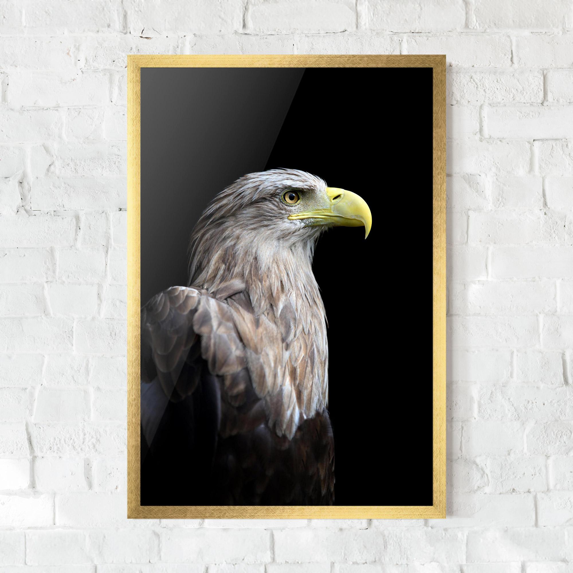 Plakat w Ramie Close Up Eagle mockup 0