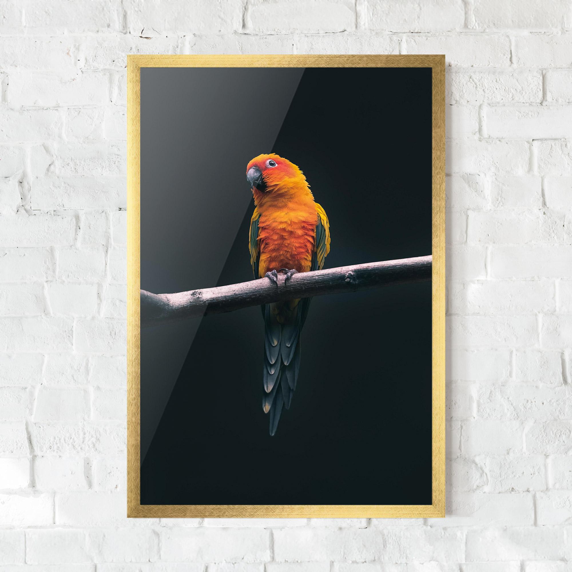 Plakat w Ramie Fire Parrot mockup 0