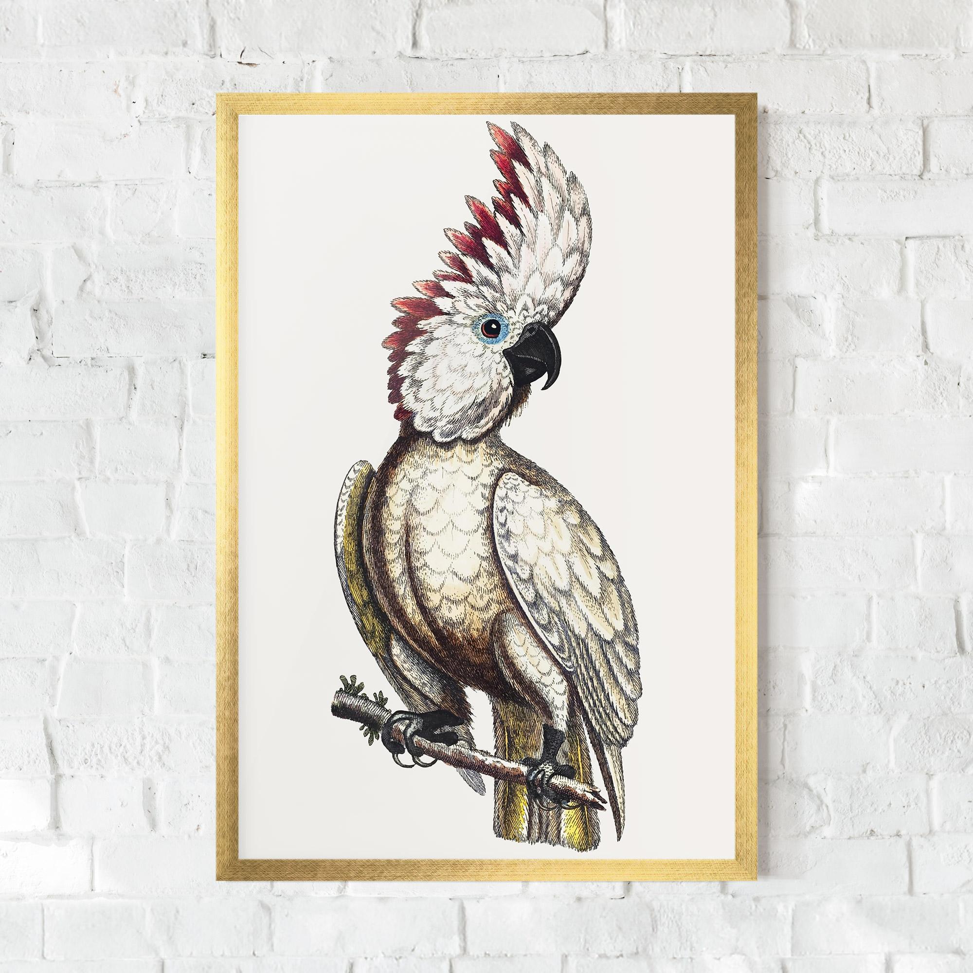 Plakat w Ramie Interesting Bird mockup 0
