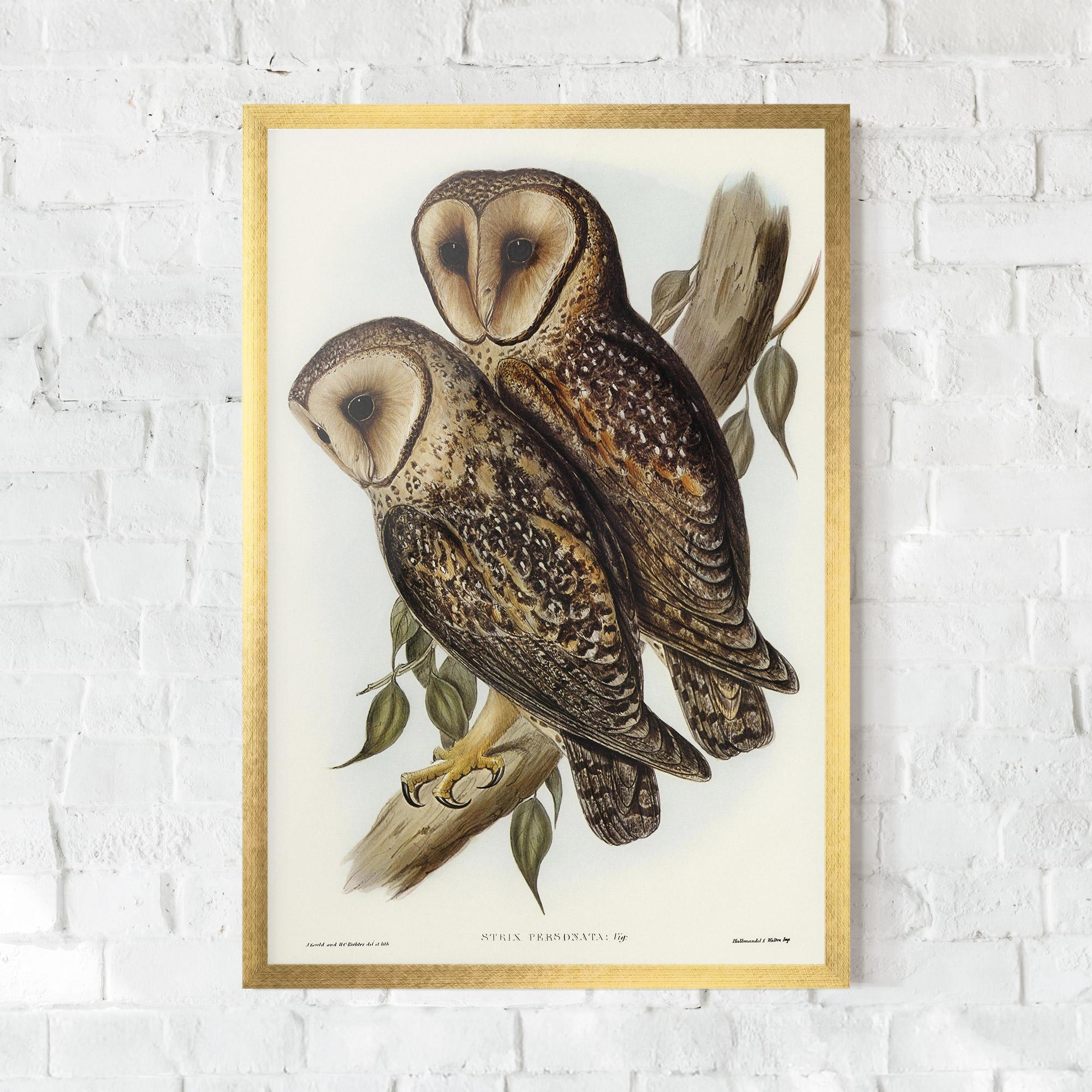 Plakat w Ramie Owl Family mockup 0