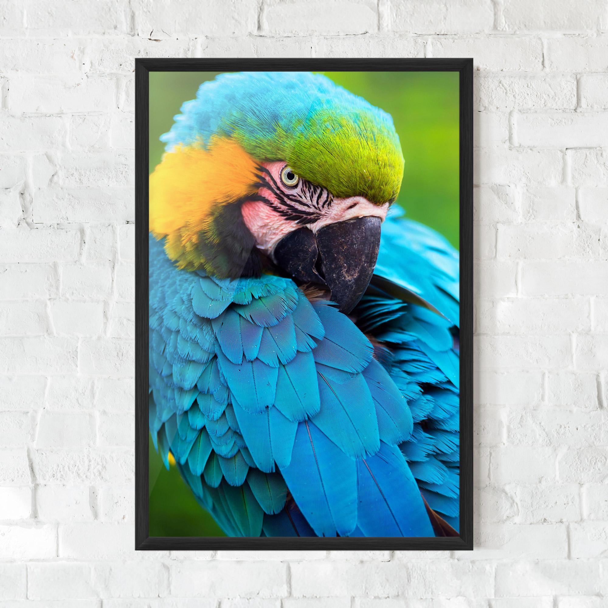 Plakat w Ramie Blue Parrot mockup 0