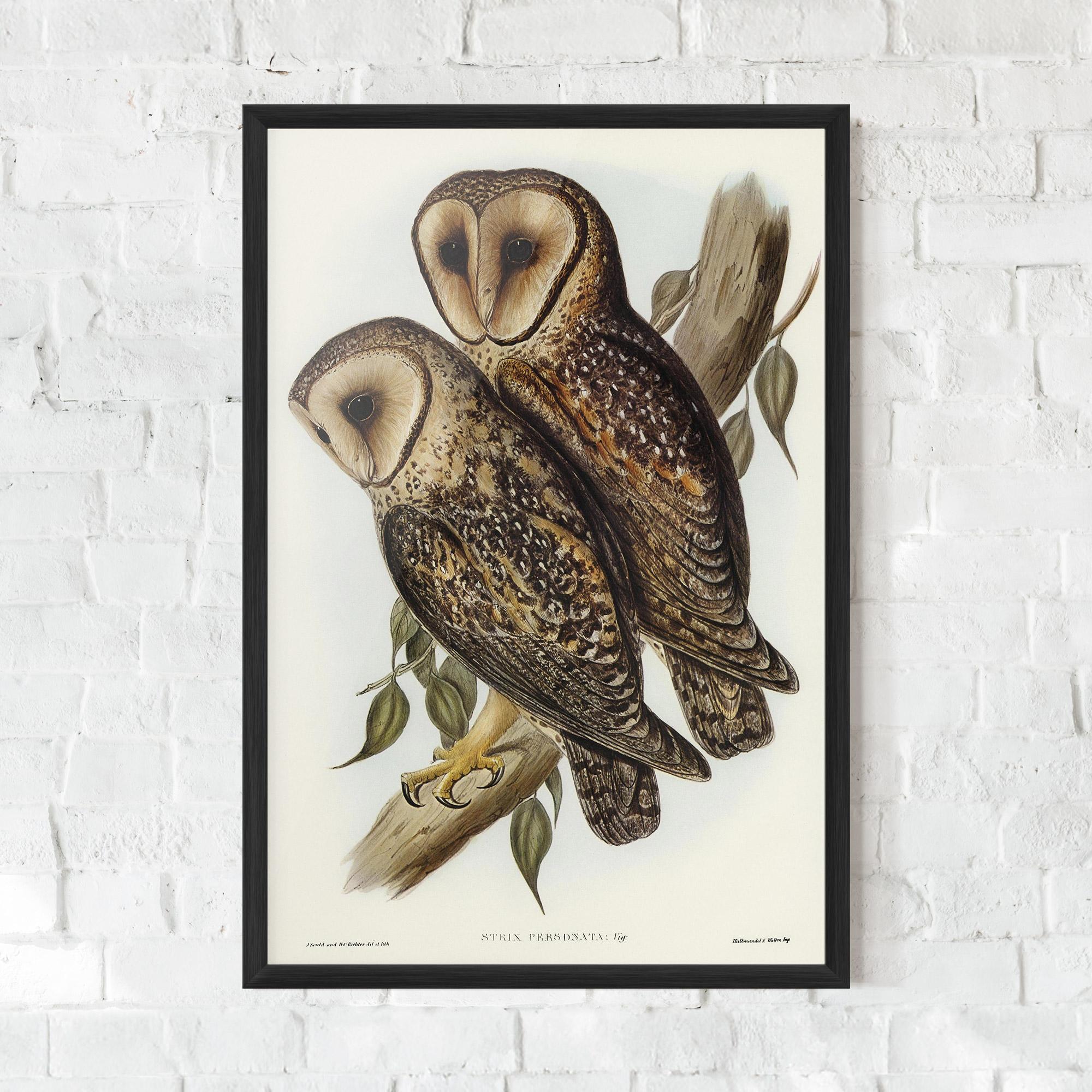 Plakat w Ramie Owl Family mockup 0