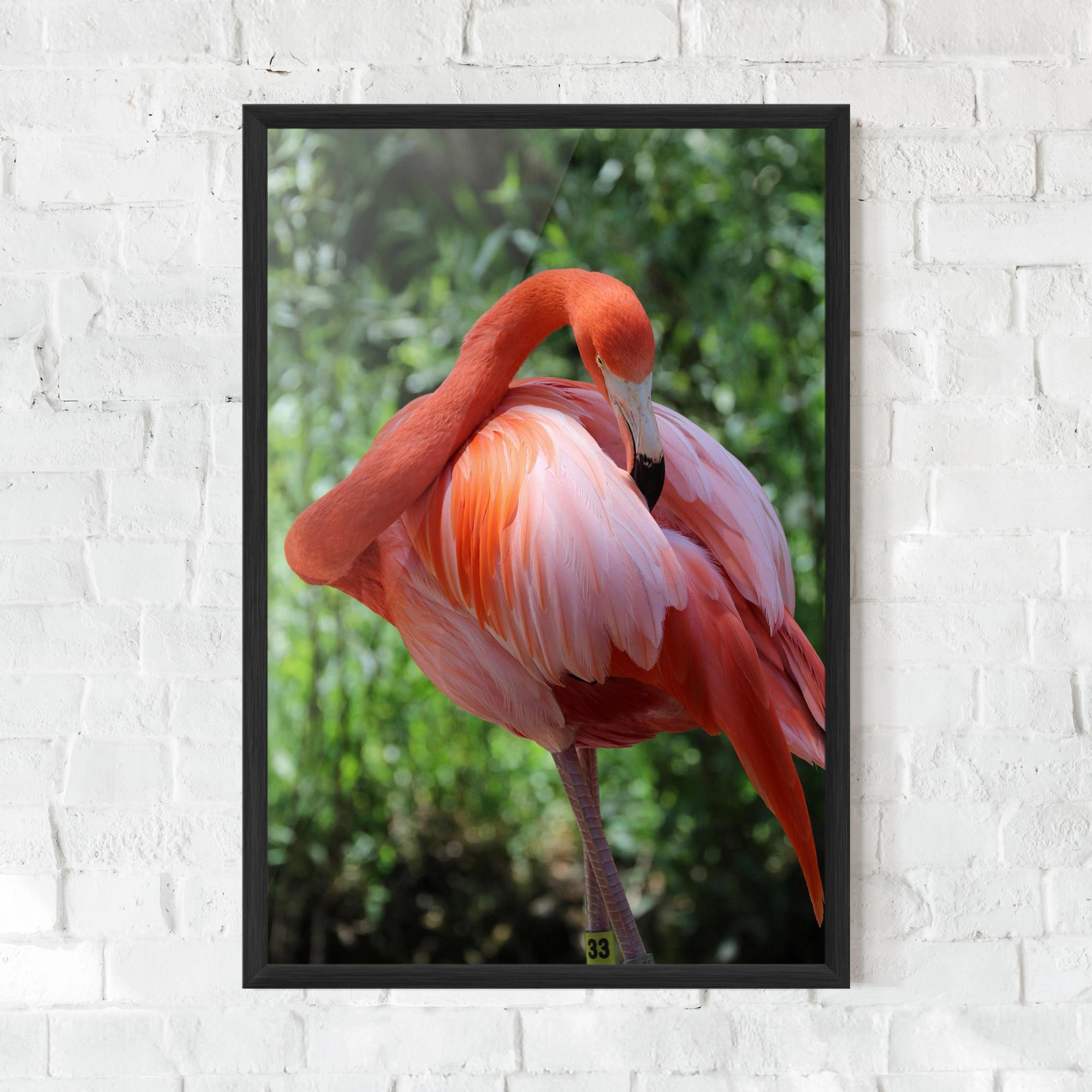 Plakat w Ramie Red Flamingo mockup 0