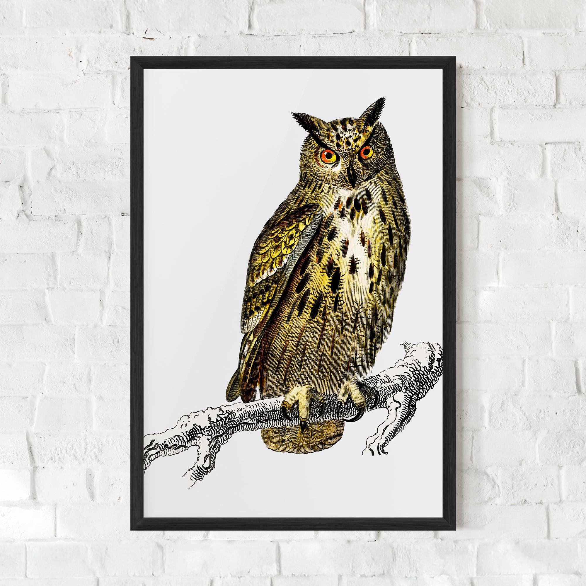 Plakat w Ramie Yellow Owl mockup 0